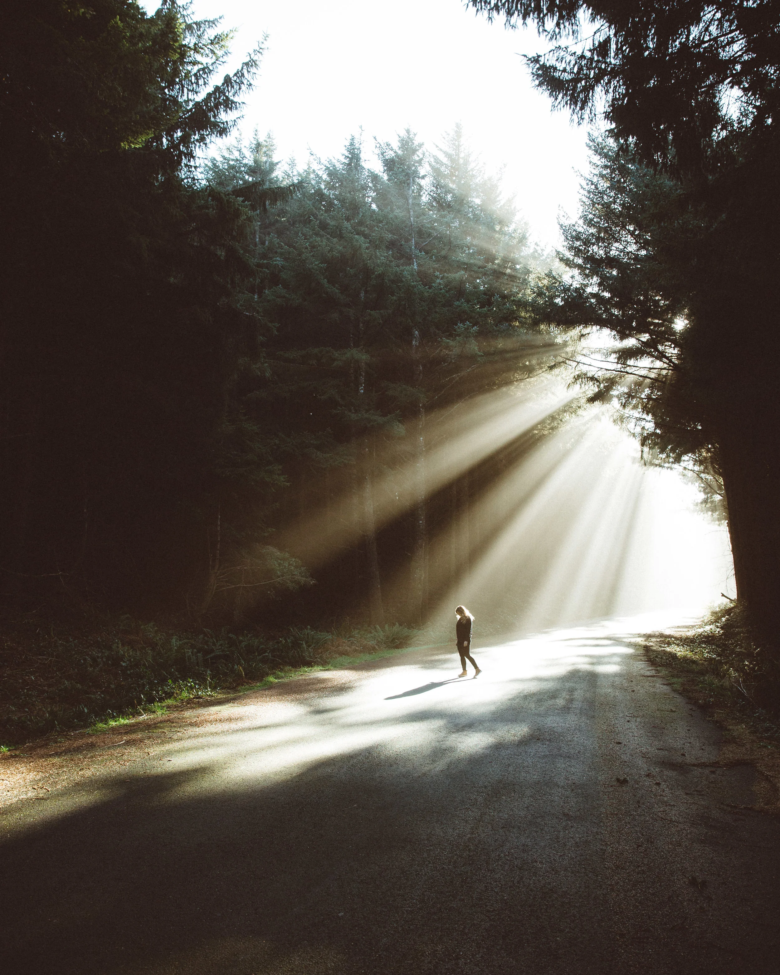 BD__1854-Edit.jpg