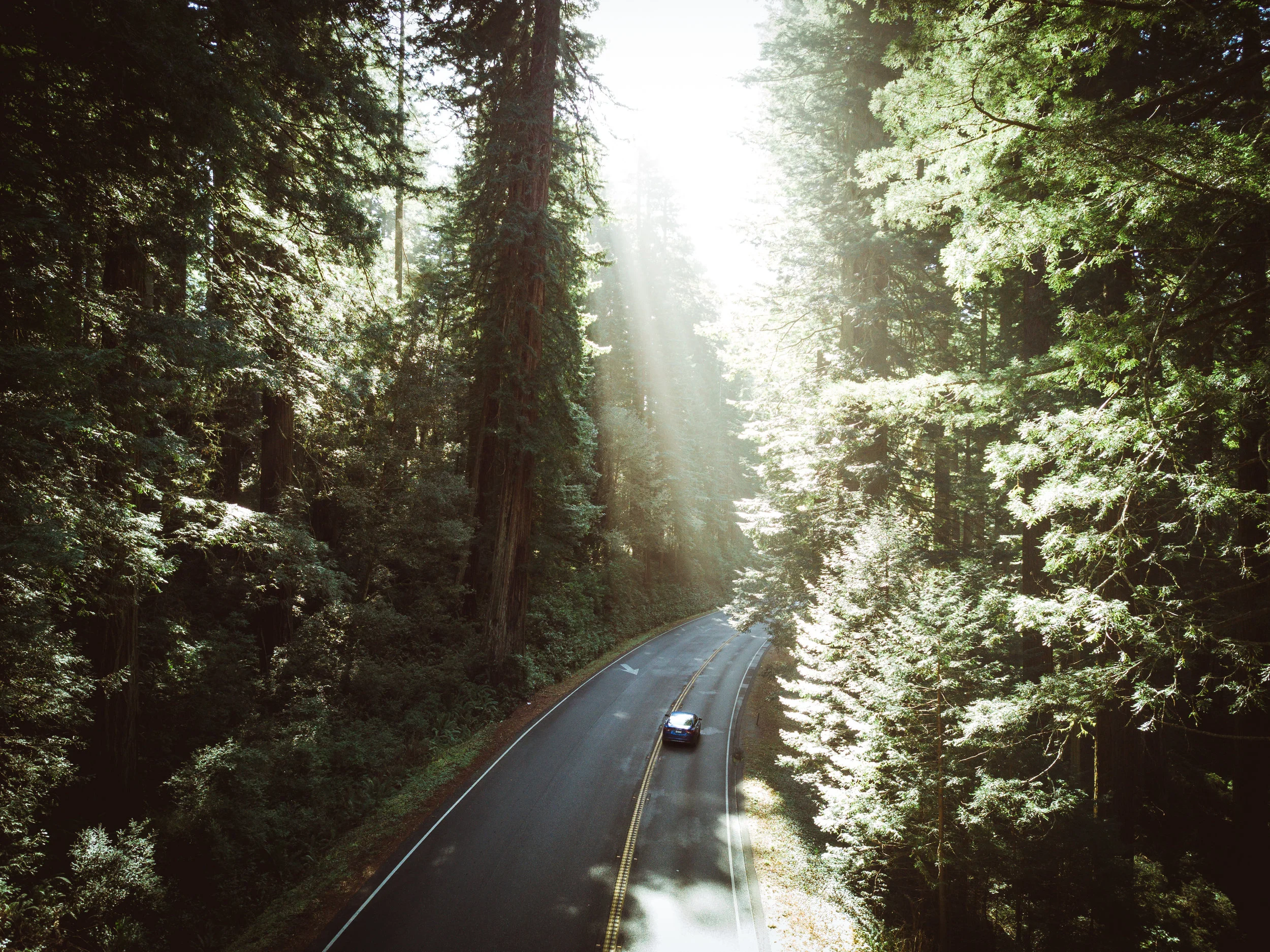 DJI_0024.jpg