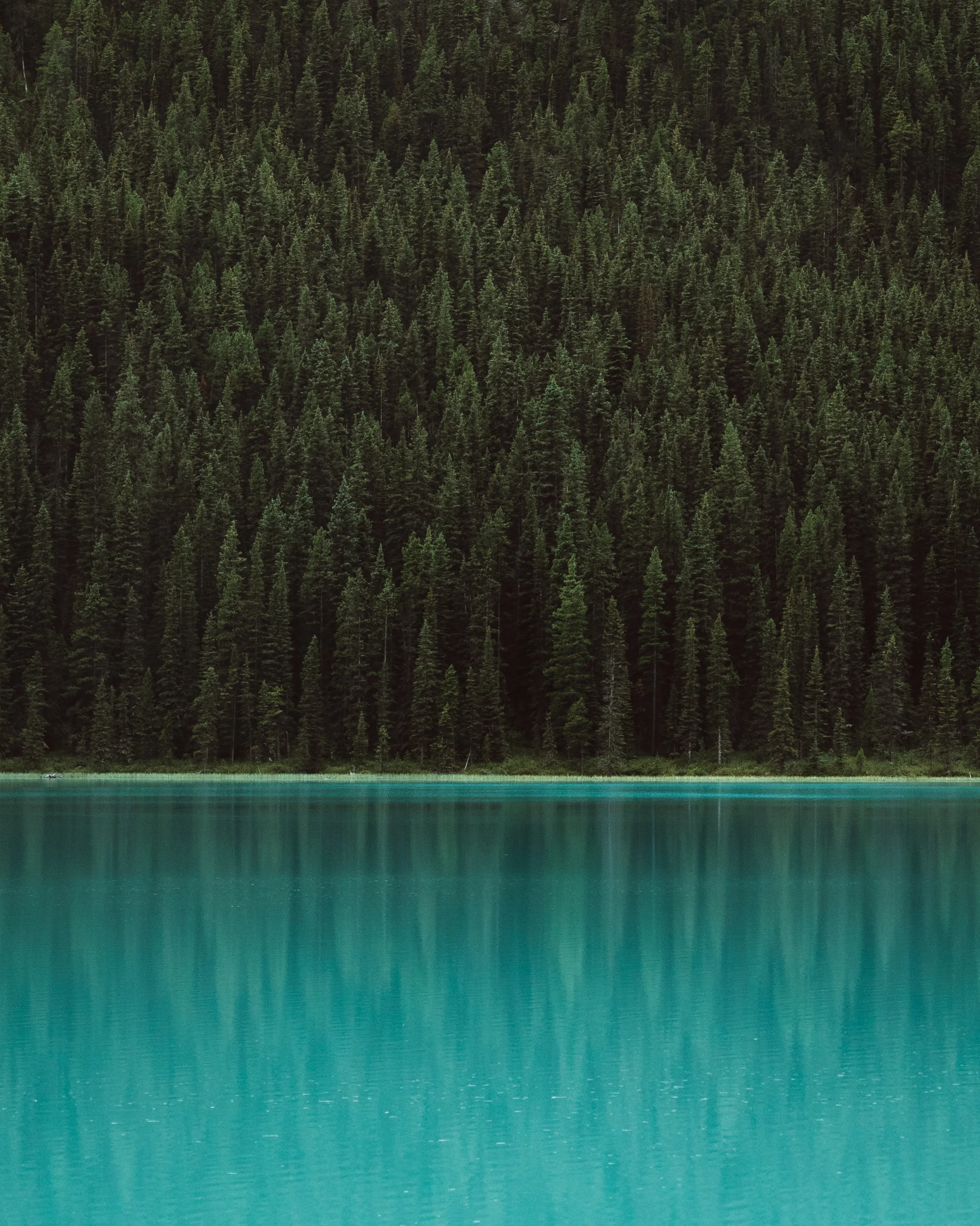 BD__4948-Edit-2-2.jpg