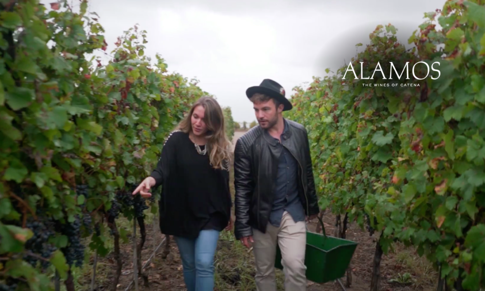 A cultura do vinho argentino para uma nova geração de consumidores