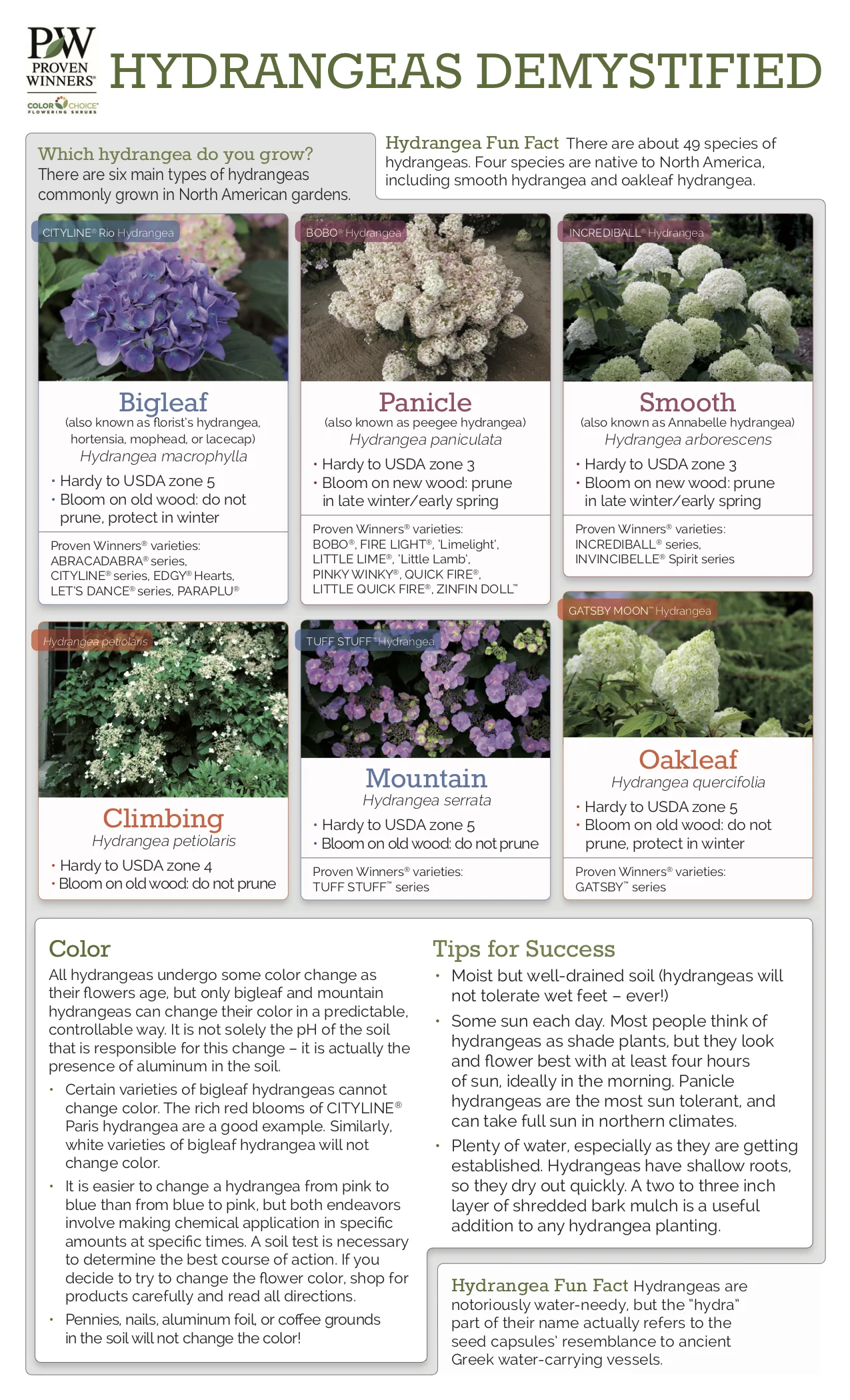 hydrangeas_demystified_2015 pg 2.jpg
