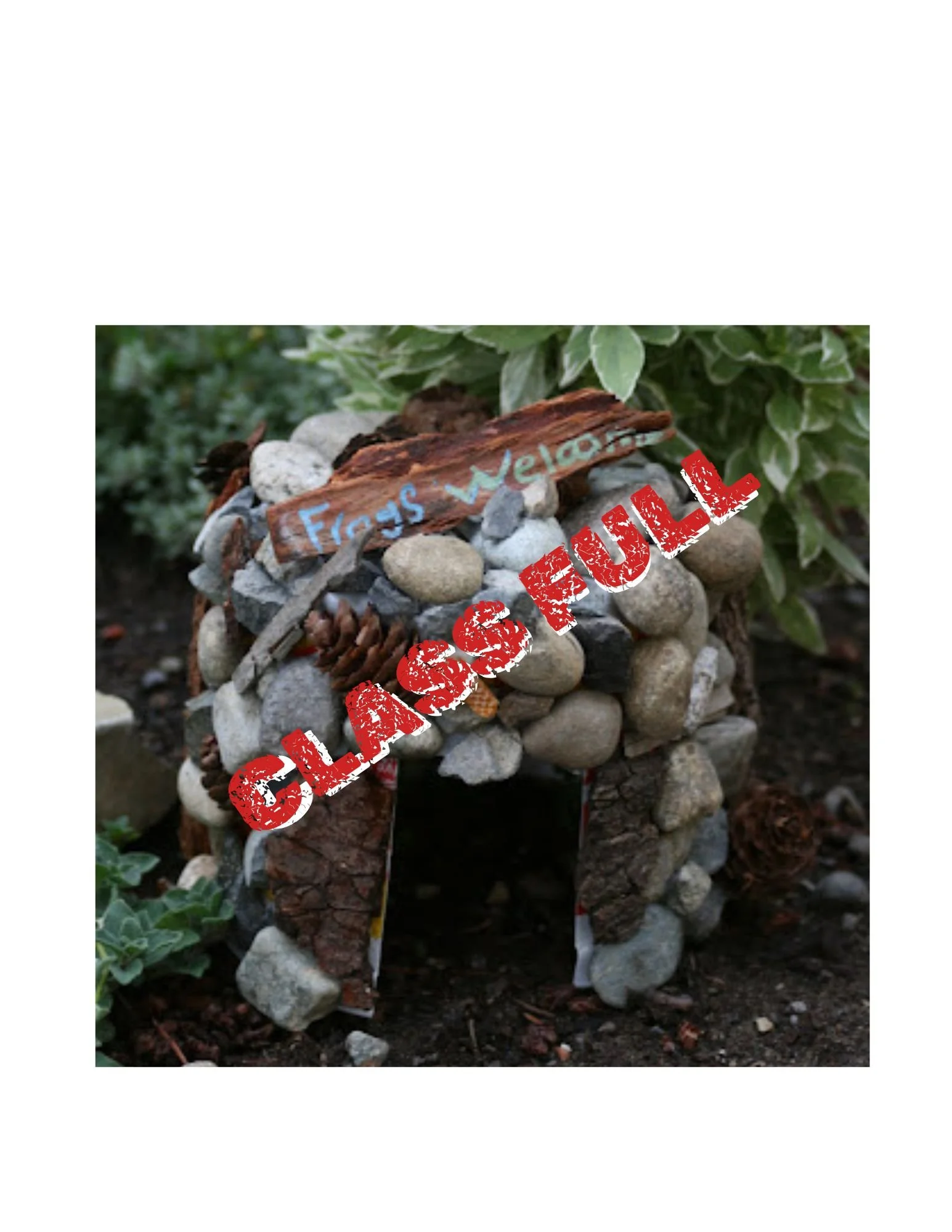 Little Sprouts Toadally Awesome Toad House Workshop (ages 4-8) *LIMITED SPOTS AVAILABLE