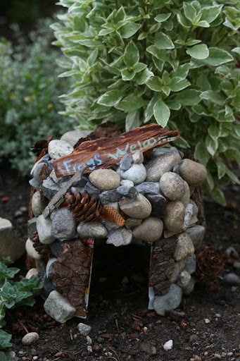 Future Gardeners Toadally Awesome Toad House Workshop  (ages 9-14)        *LIMITED SPOTS AVAILABLE