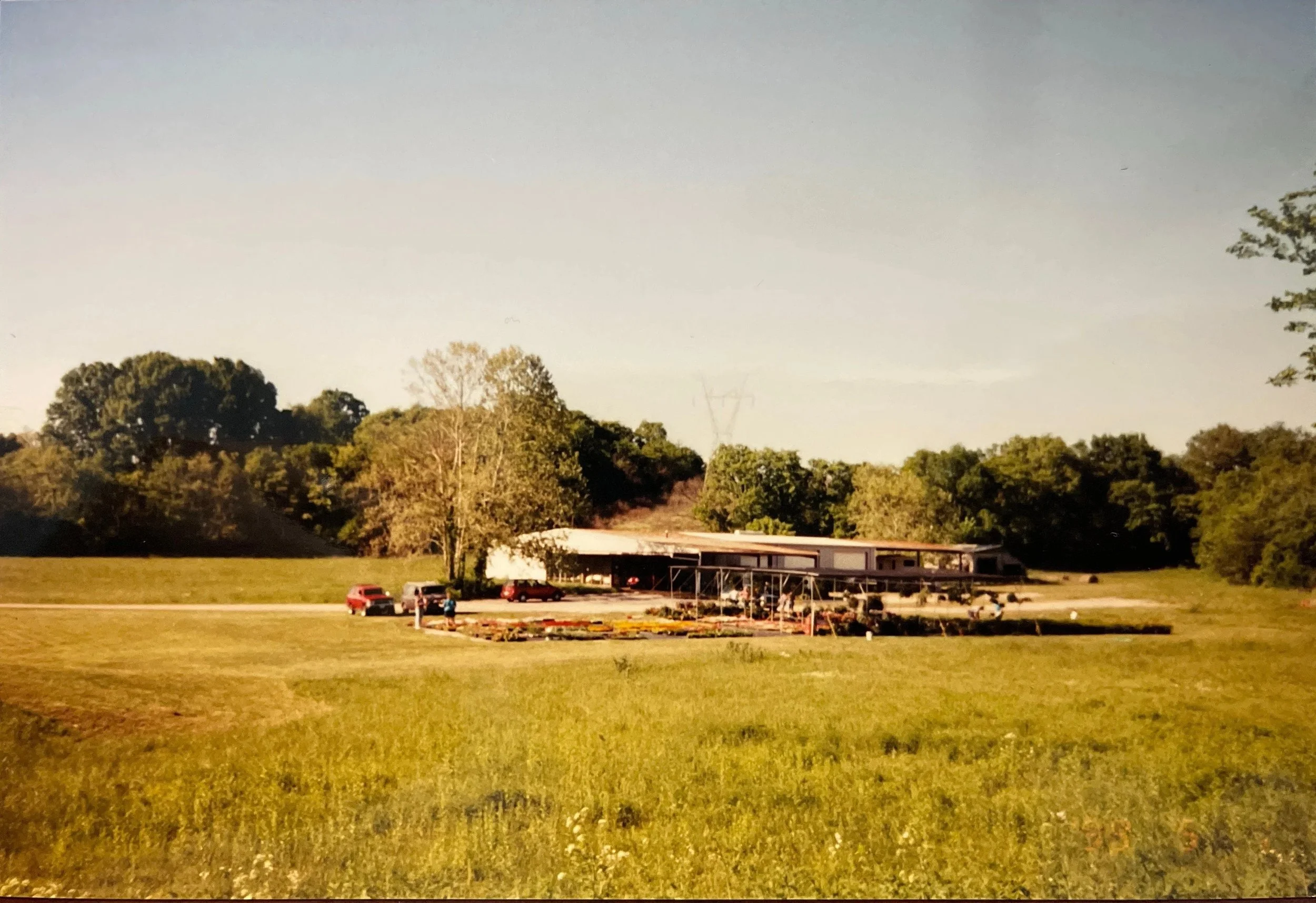 Fernwood's Columbia location (c. 1994)