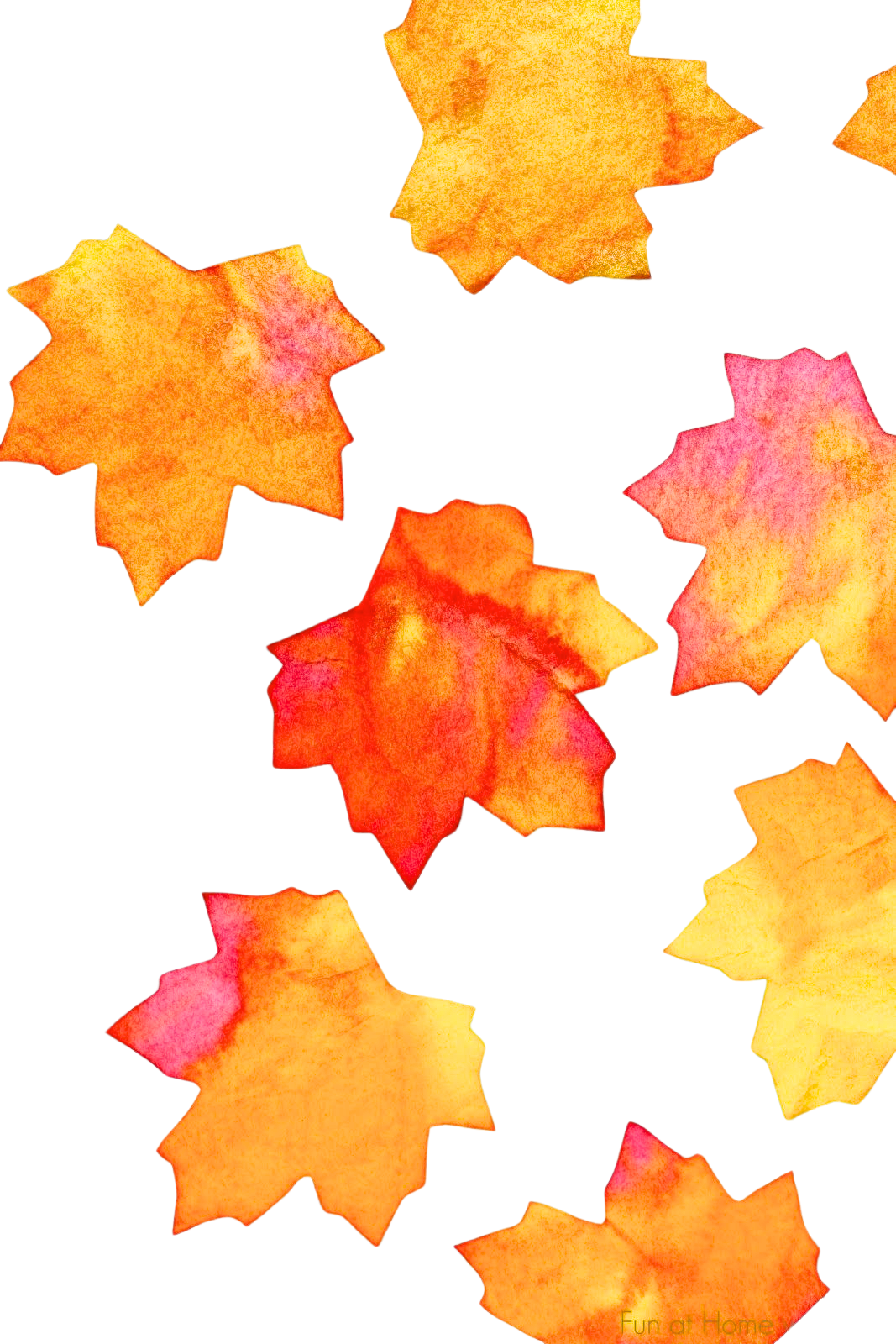 Fall Foliage