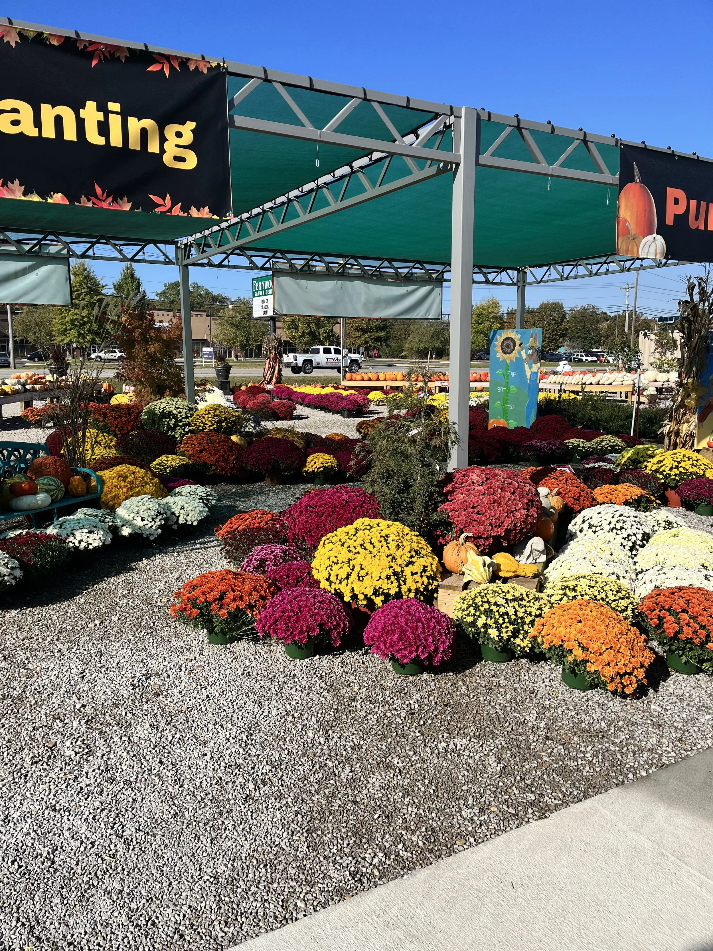 A flower stand with colorful fall chrysanthemums and pumpkins, set up outdoors under a green canopy on a sunny day.