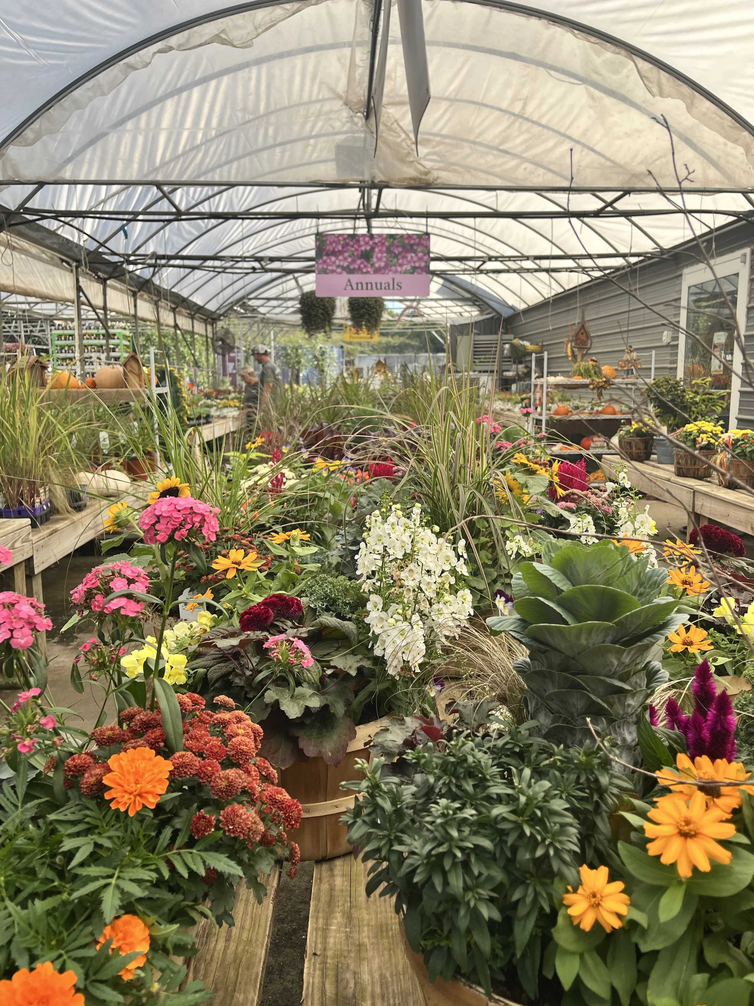 A greenhouse filled with potted flowers and plants, with a pink sign labeled "Annuals" hanging from the ceiling.