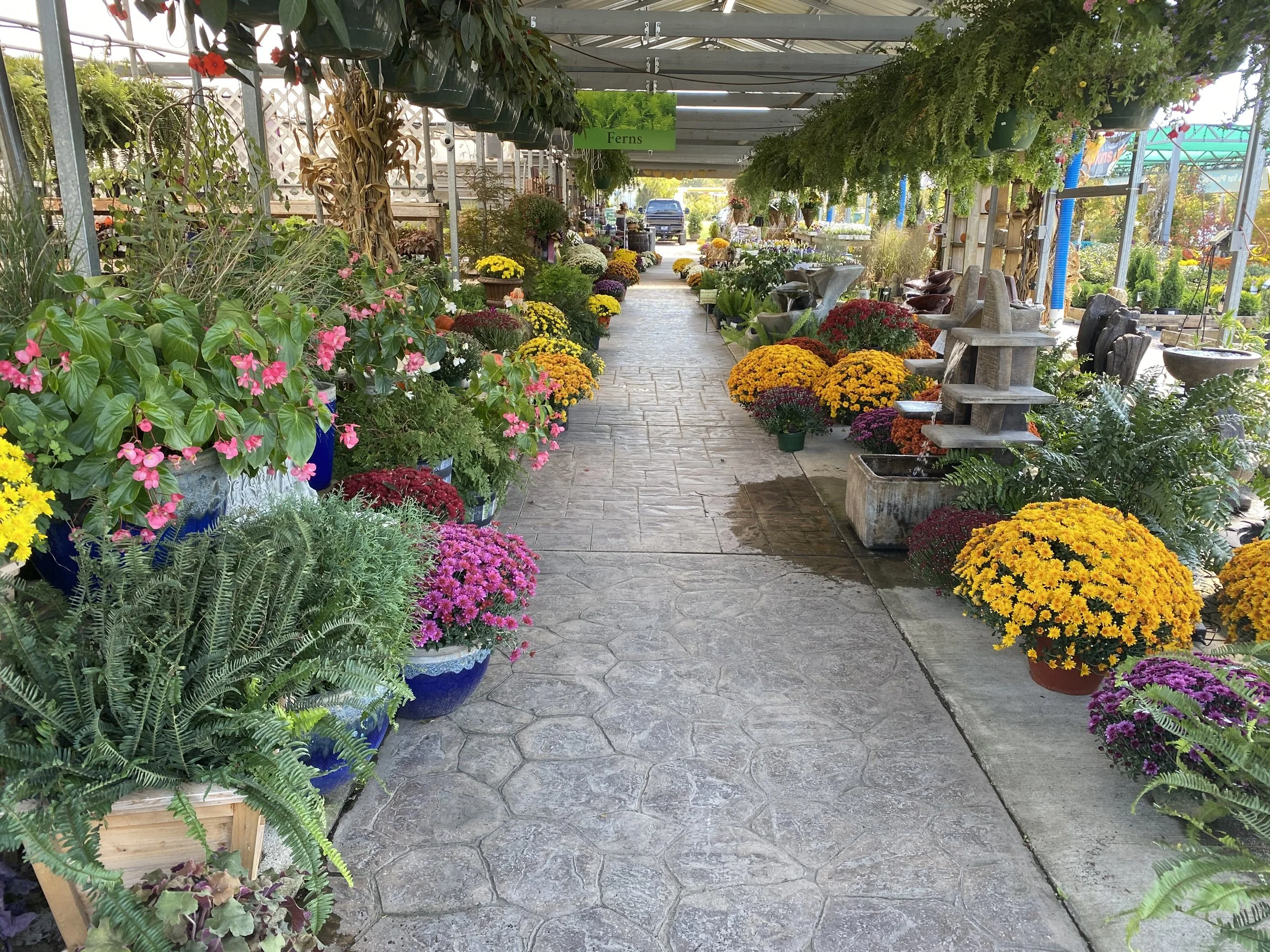 A greenhouse walkway filled with colorful flowers and hanging plants.
