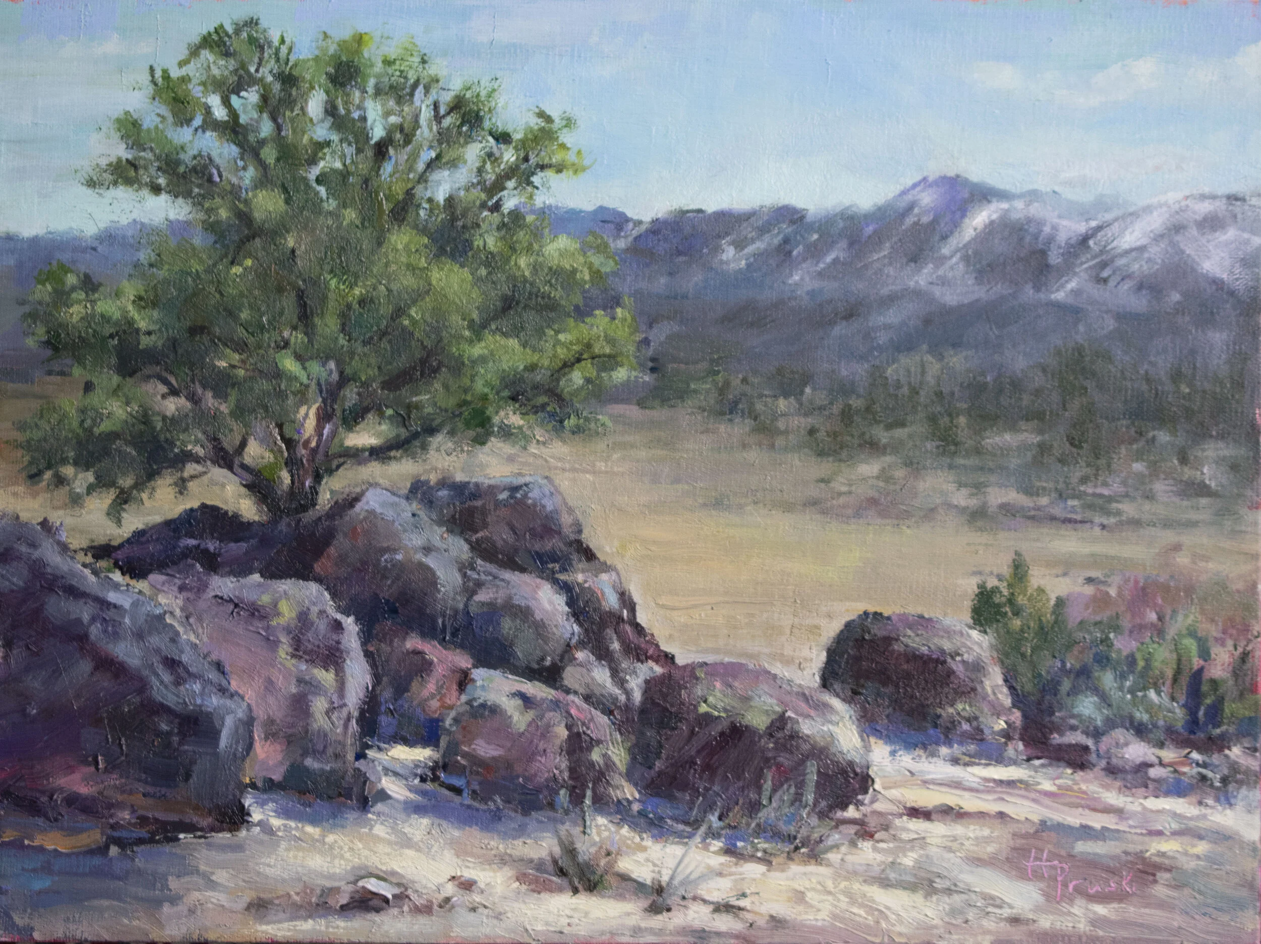 Spring in Sand Canyon