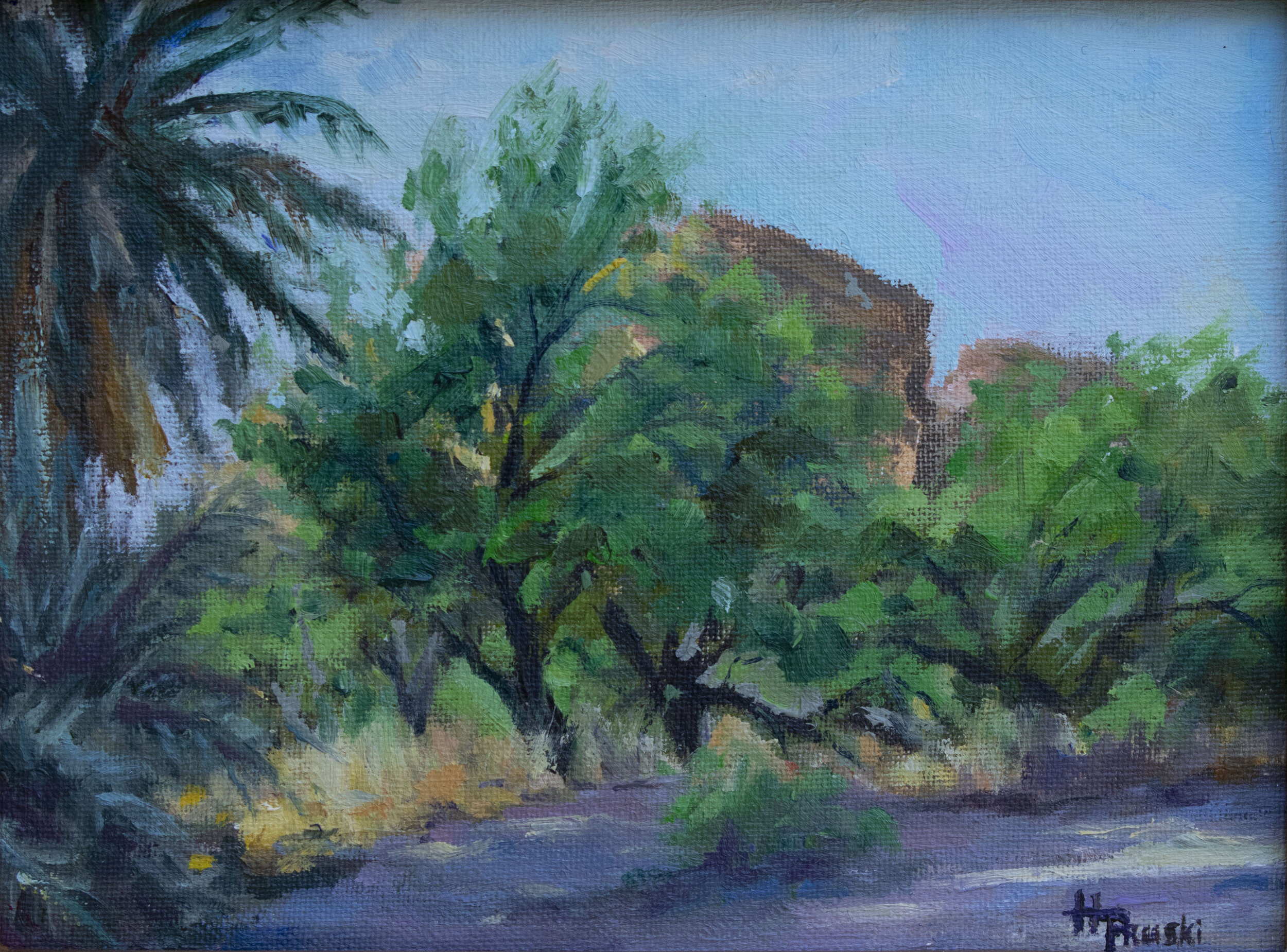 Oasis in the Desert
