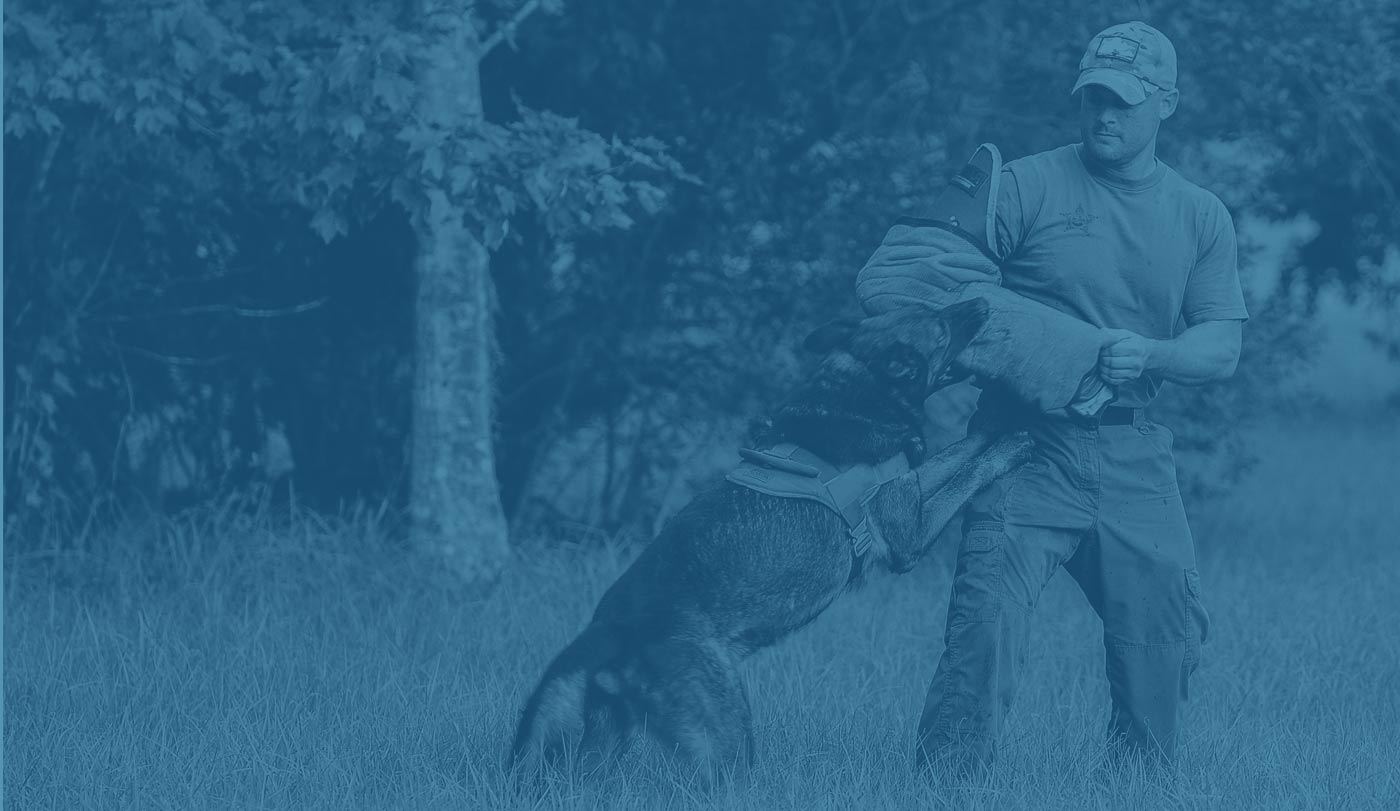 k9-training-homepage.jpg