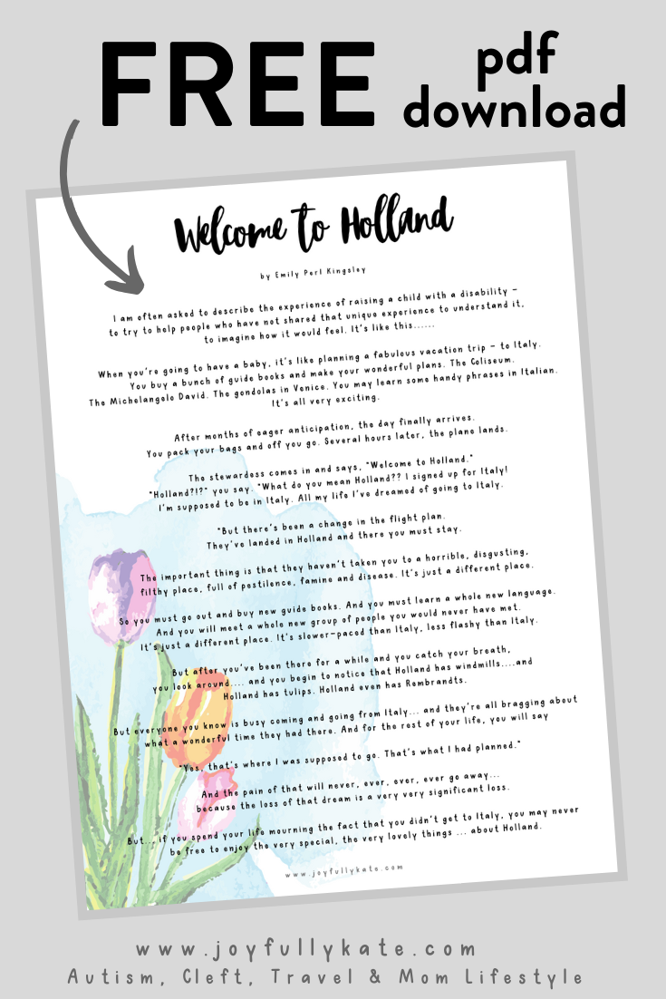 a Special Needs Parent, to Holland — Joyful Wild