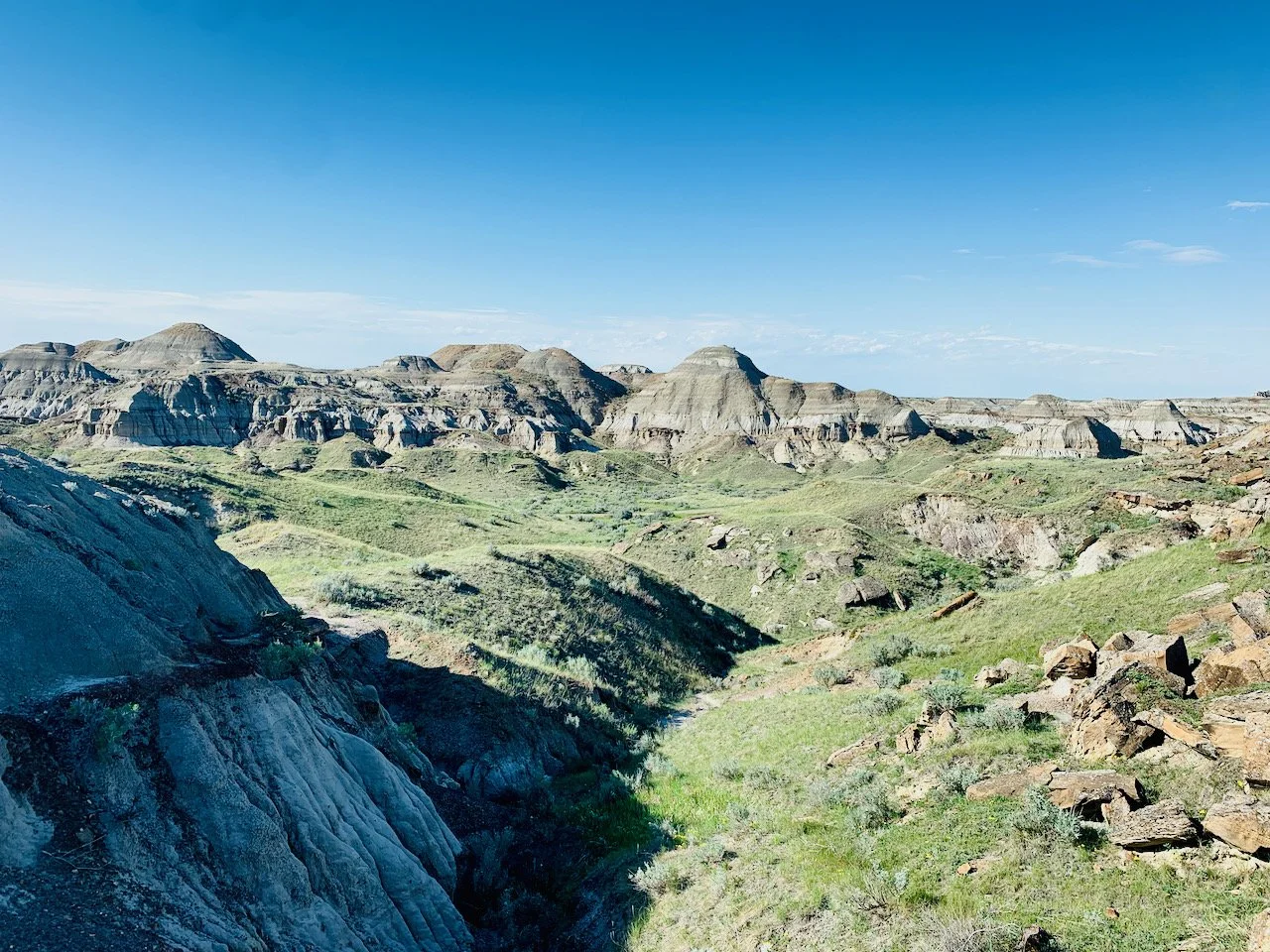 DPP landscape Smaller - 21.jpeg