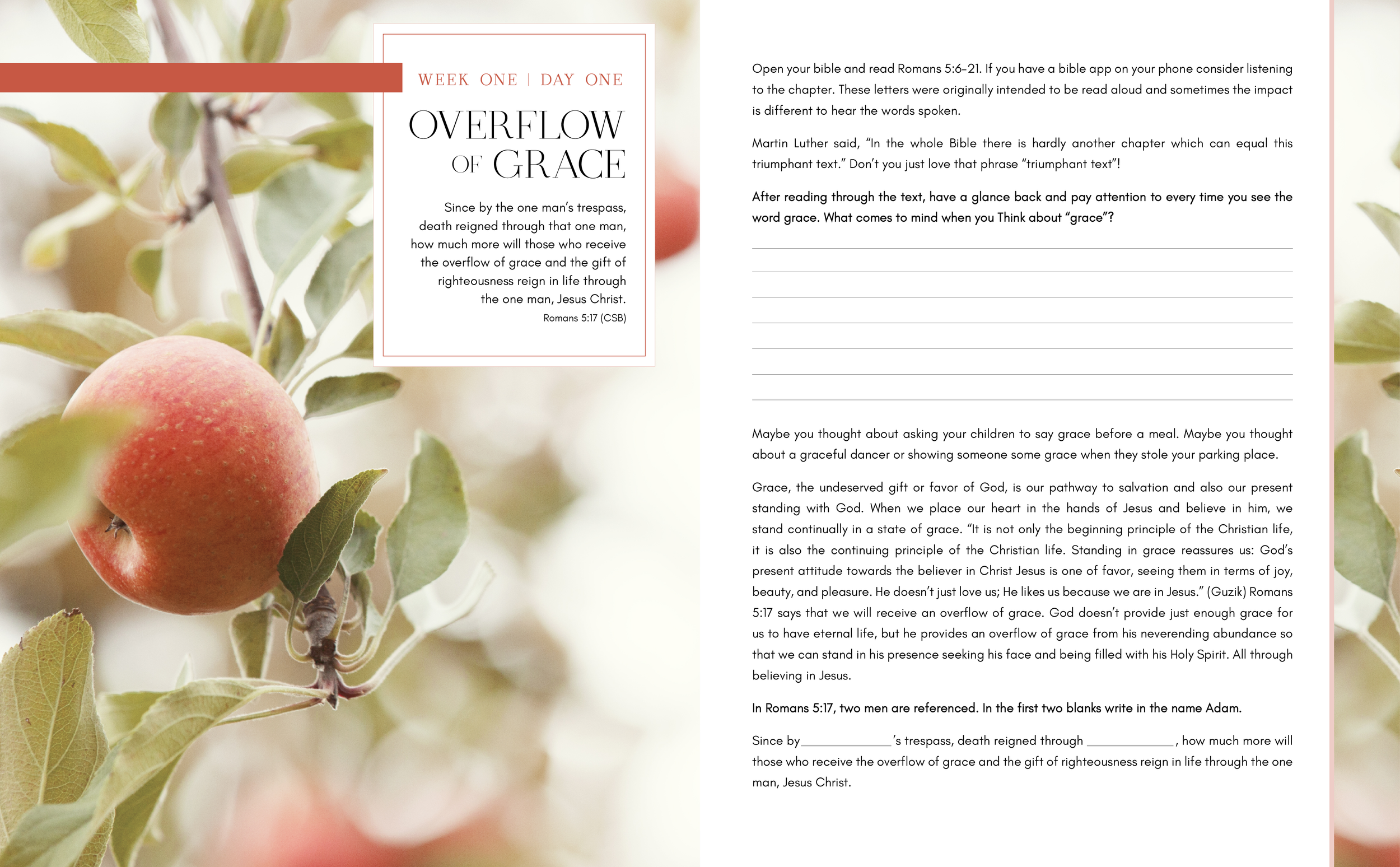 TracyFritzsching_BibleStudySample.png