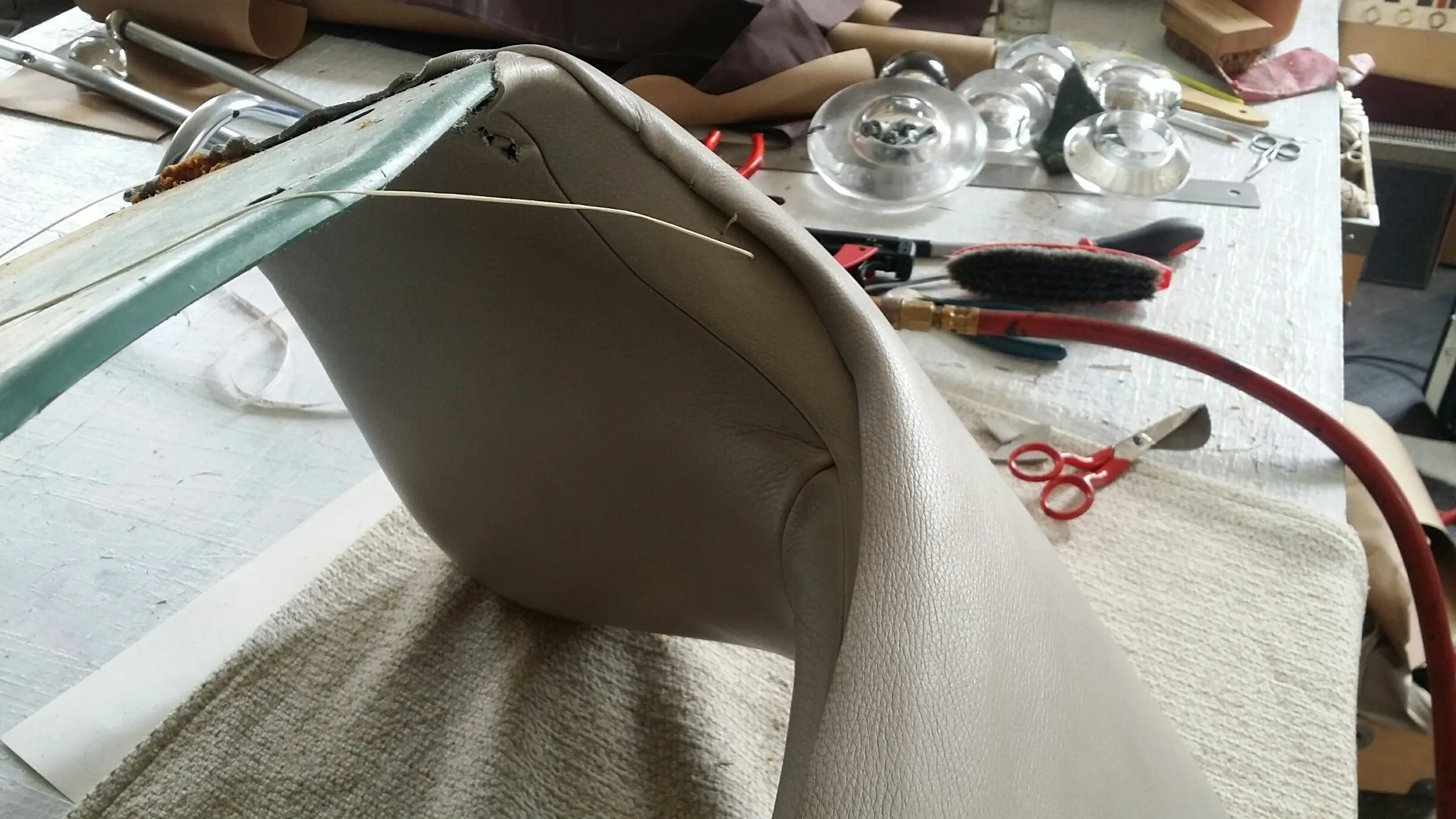 20190206_121219_resized 2.jpeg