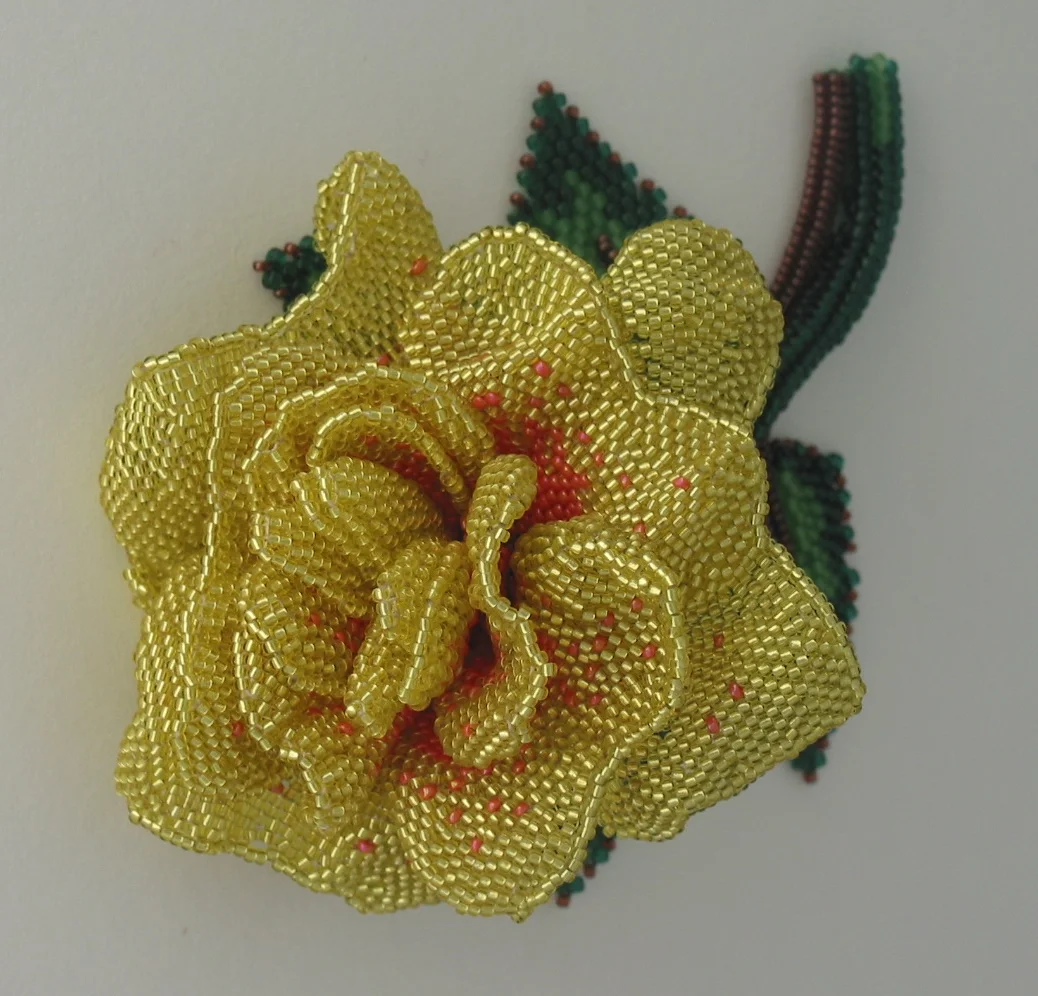 yellow rose