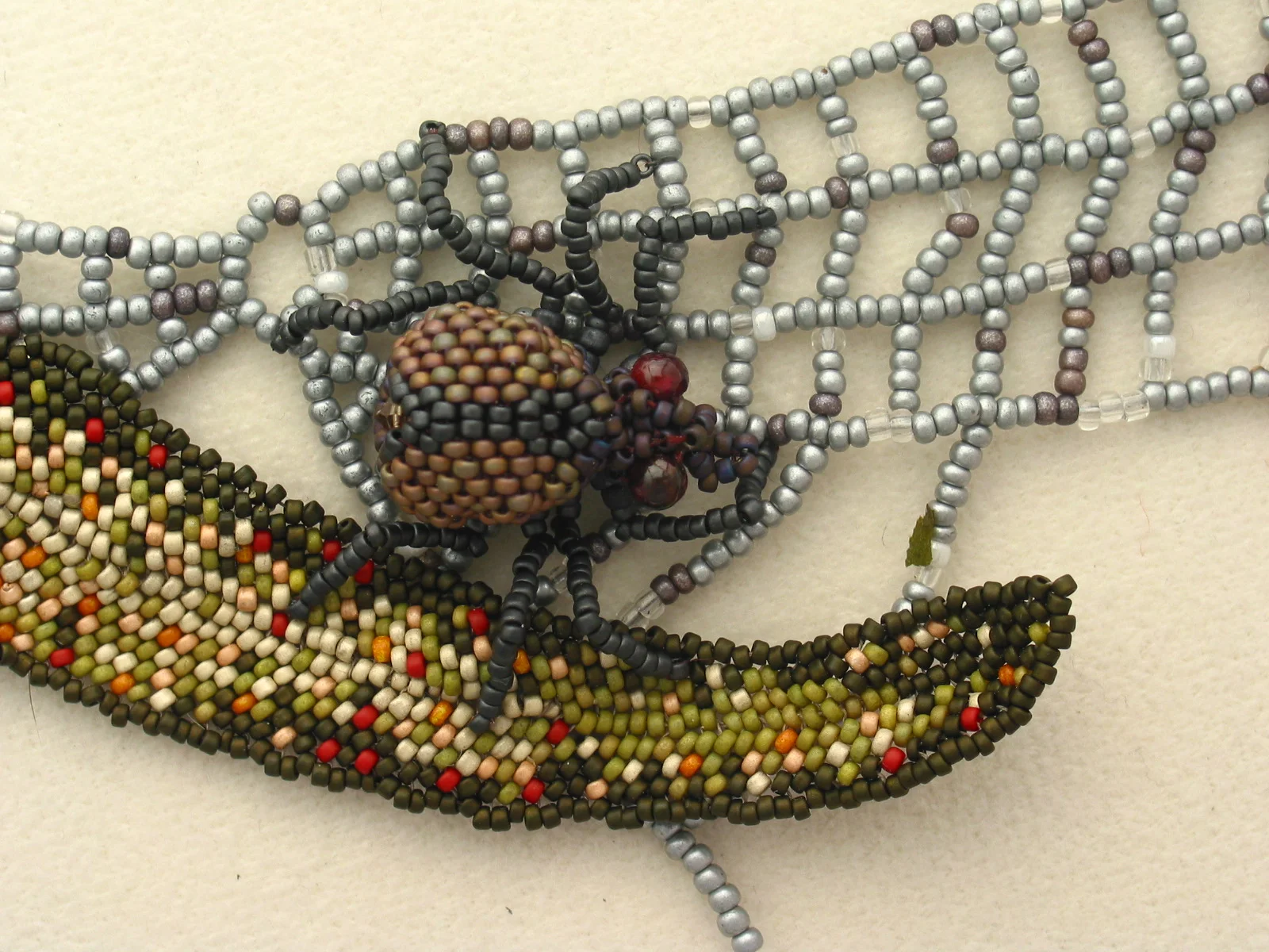 c3 Spider on eucalyptus leaves cl.u.JPG