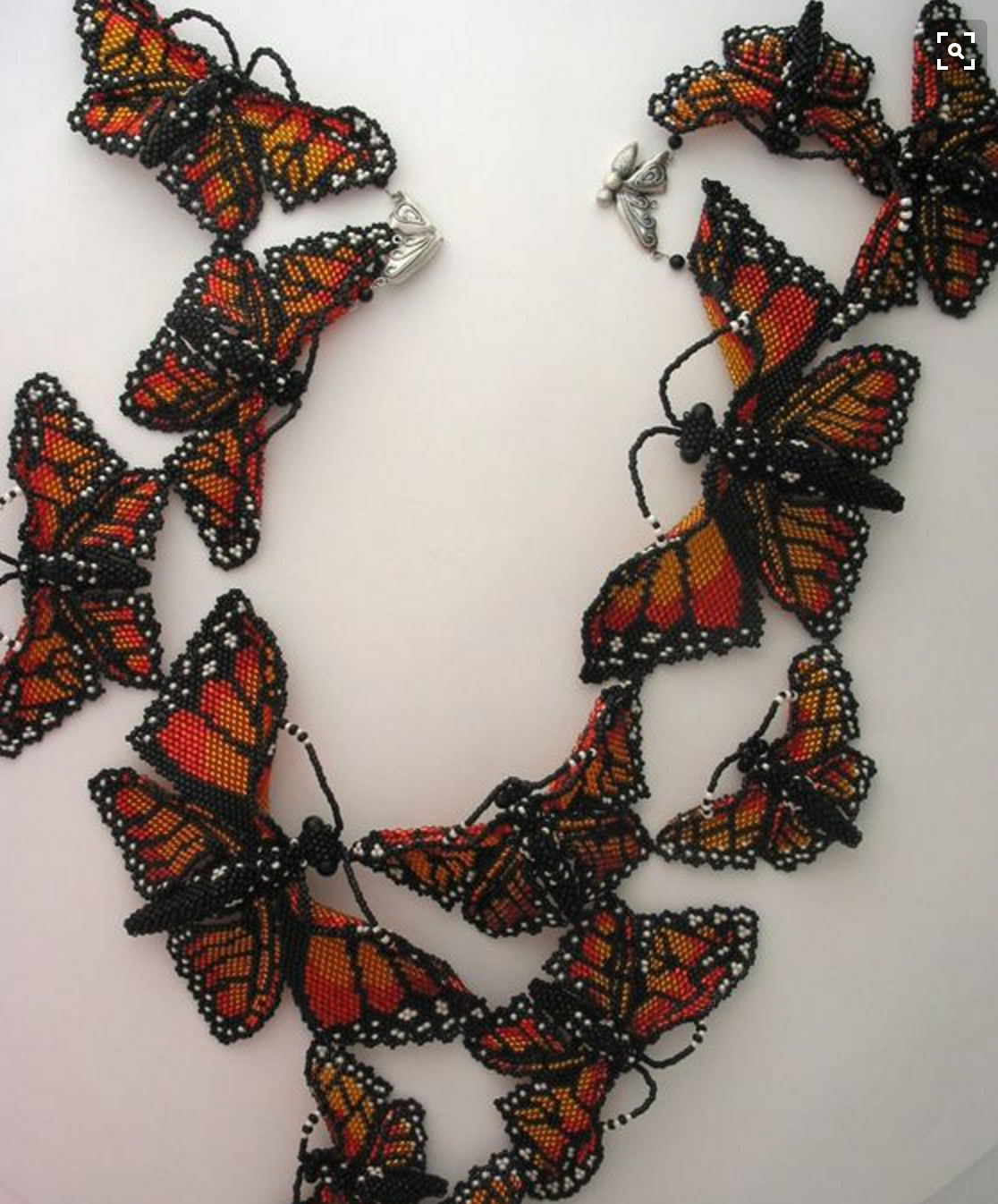 Monarch gathering.png