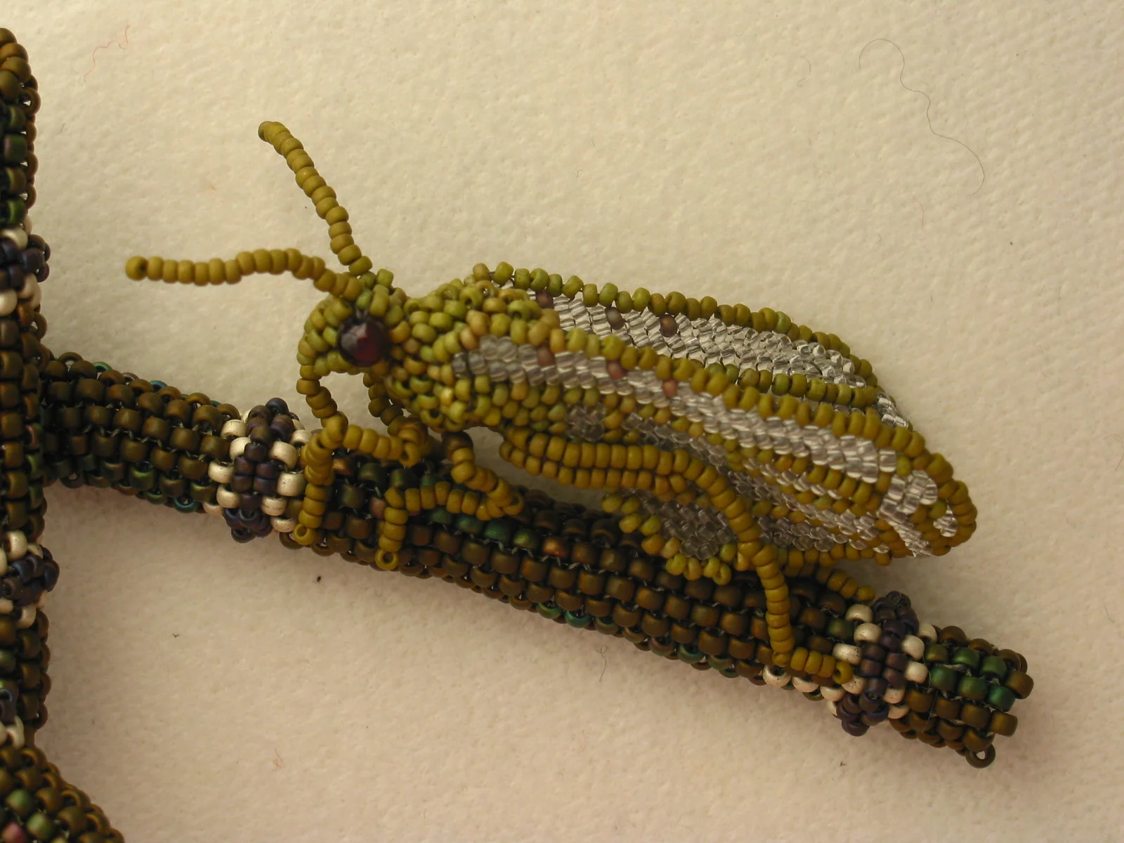 e2 cricket on bamboo close up.JPG