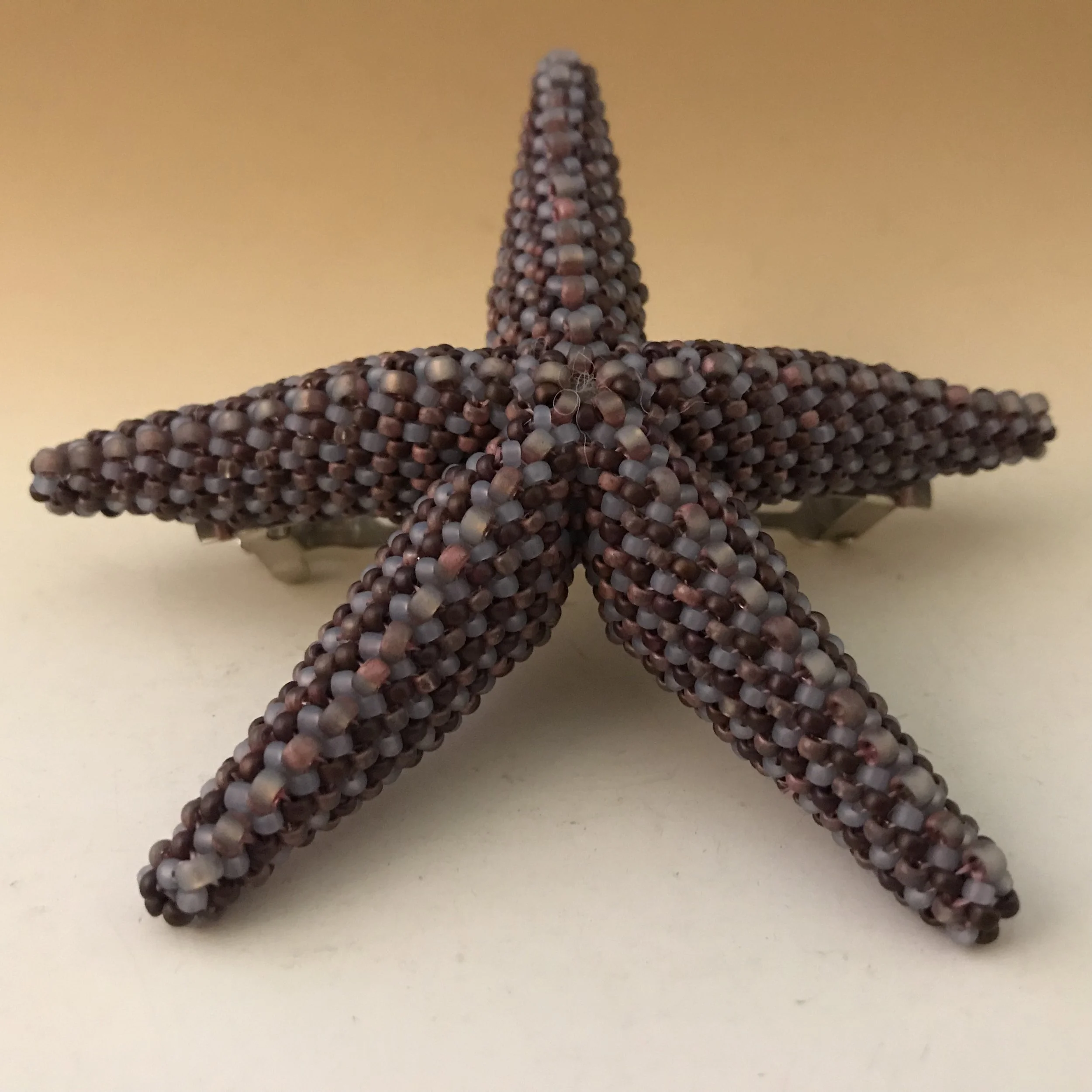 Sea Star kit