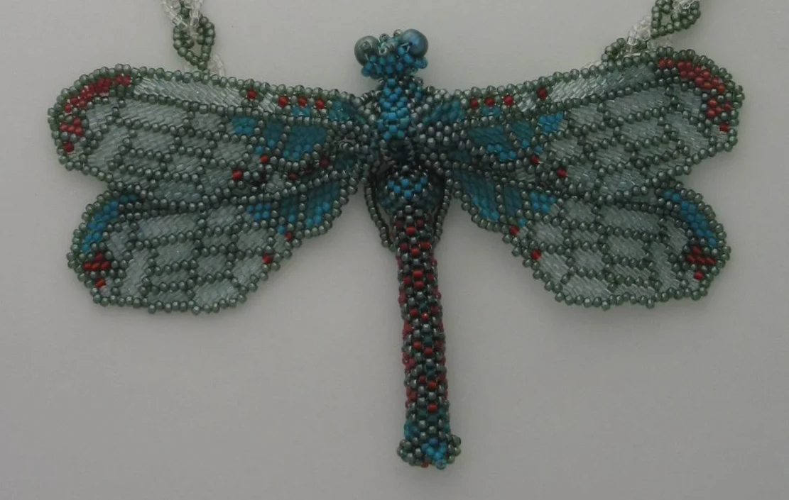d4 dragonfly.jpg