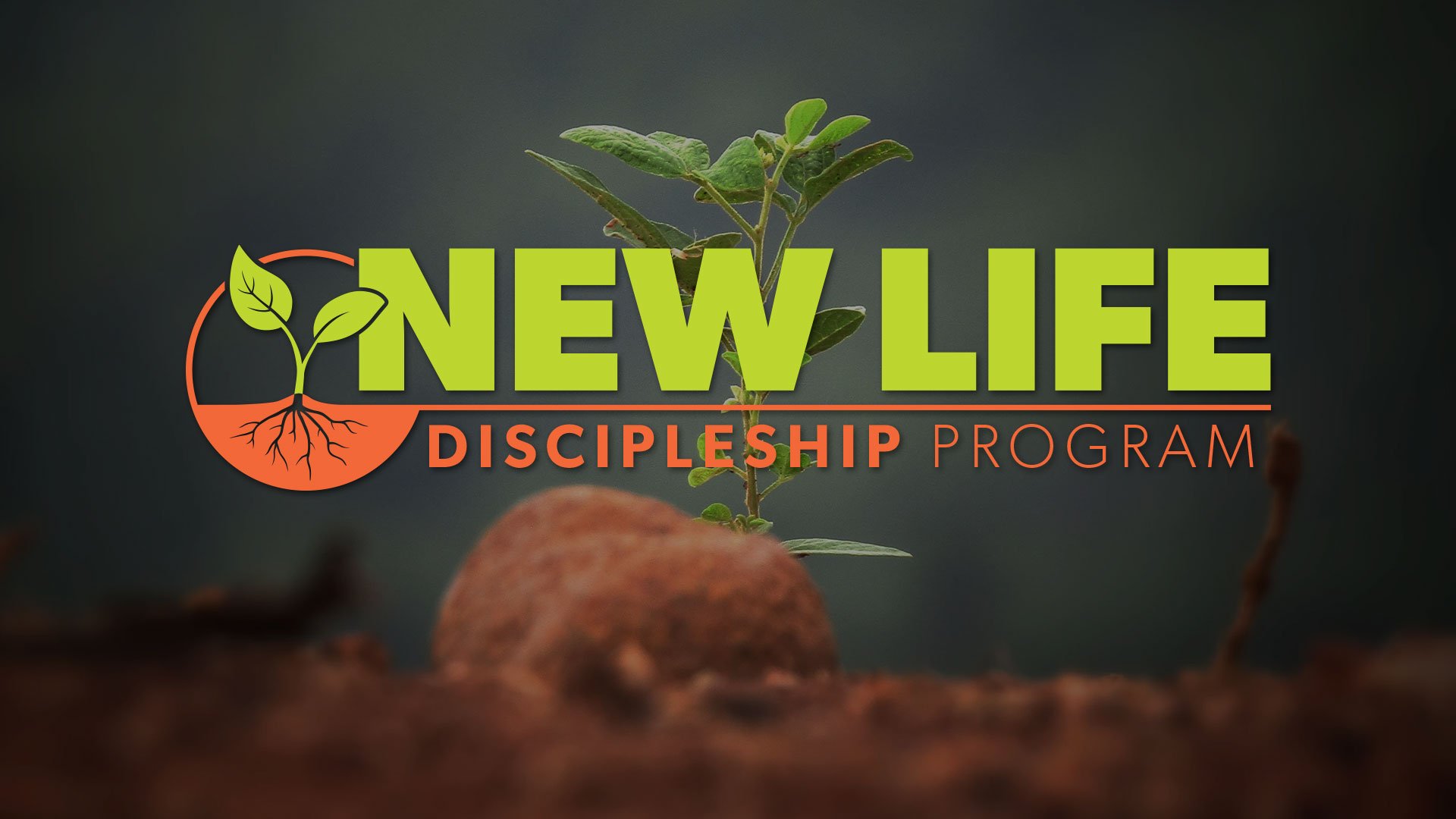 NEW-LIFE_Discipleship_Program.jpg