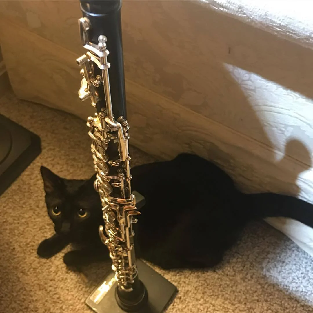 Nyx and Oboe