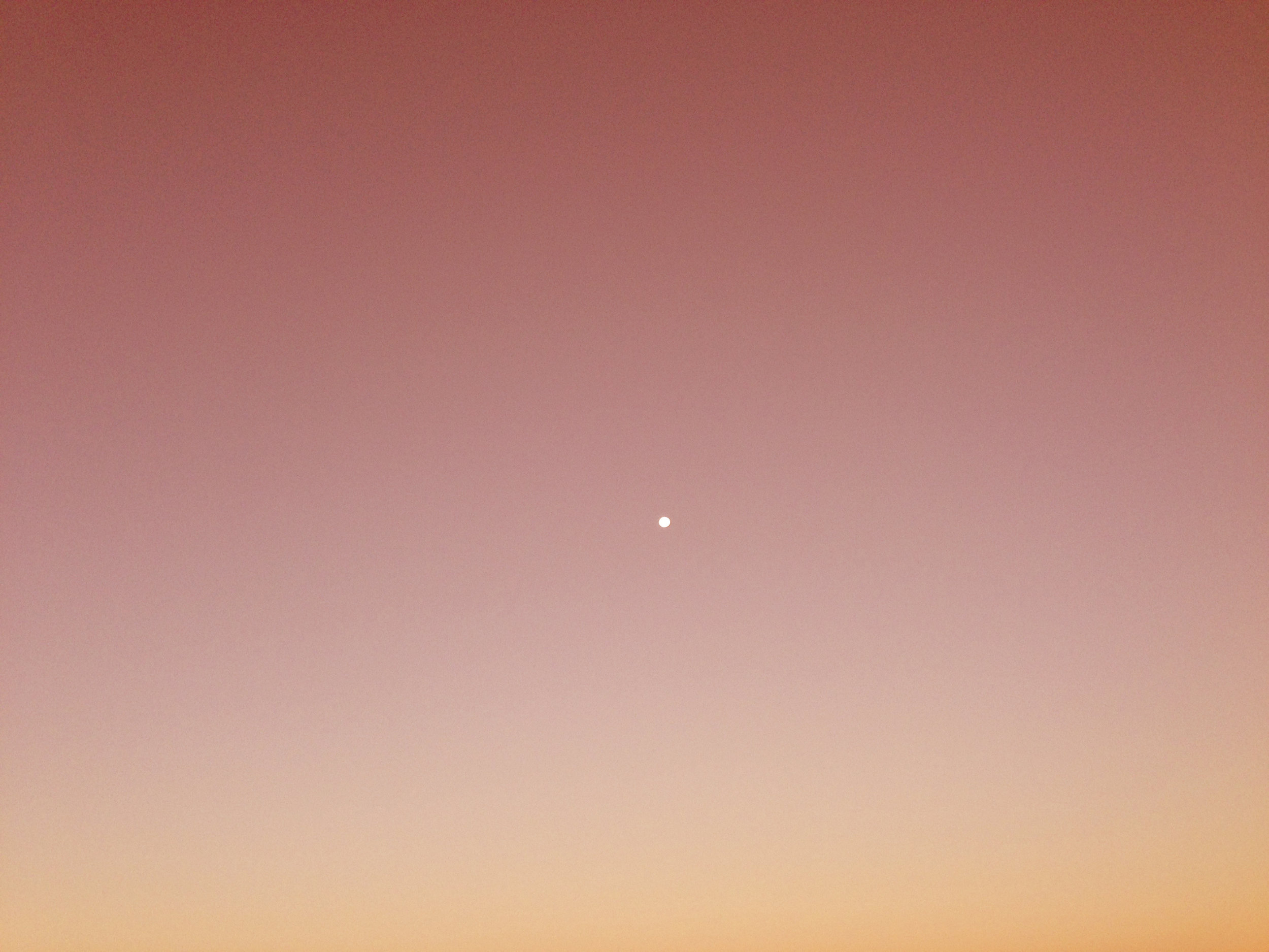 pink & orange moon.jpg