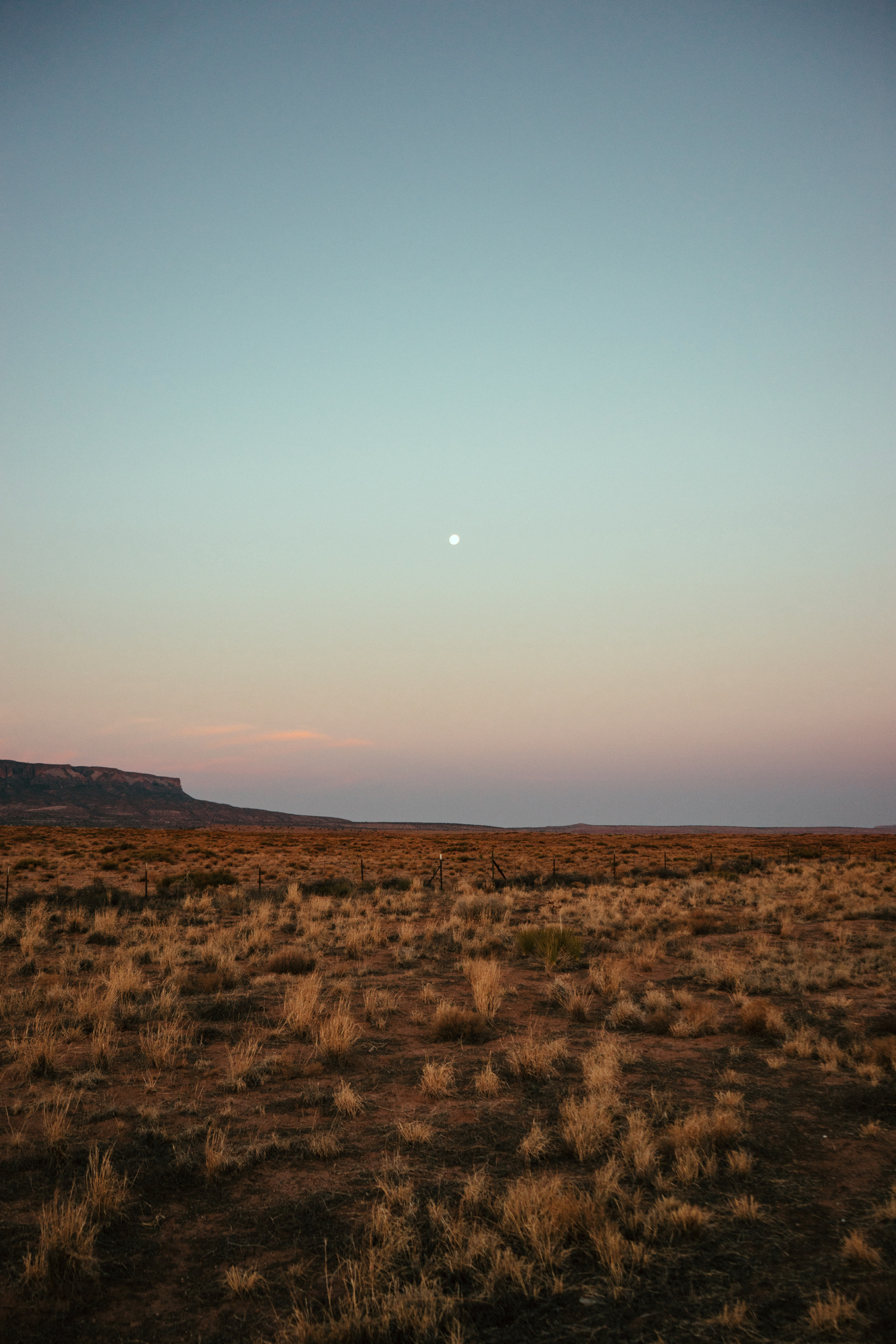 Camping in the San Juan Mountains by Jessie May