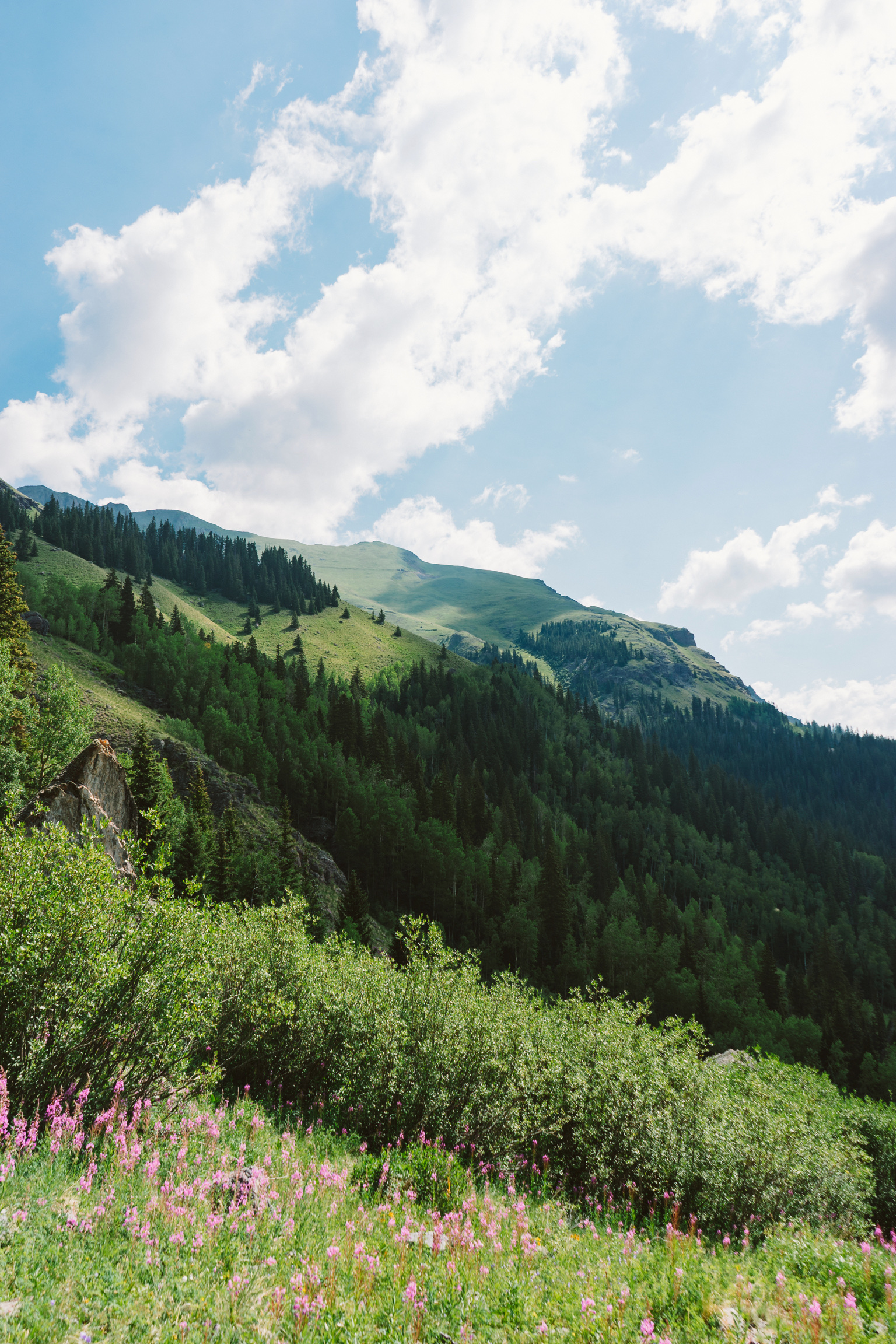 Camping in the San Juan Mountains by Jessie May