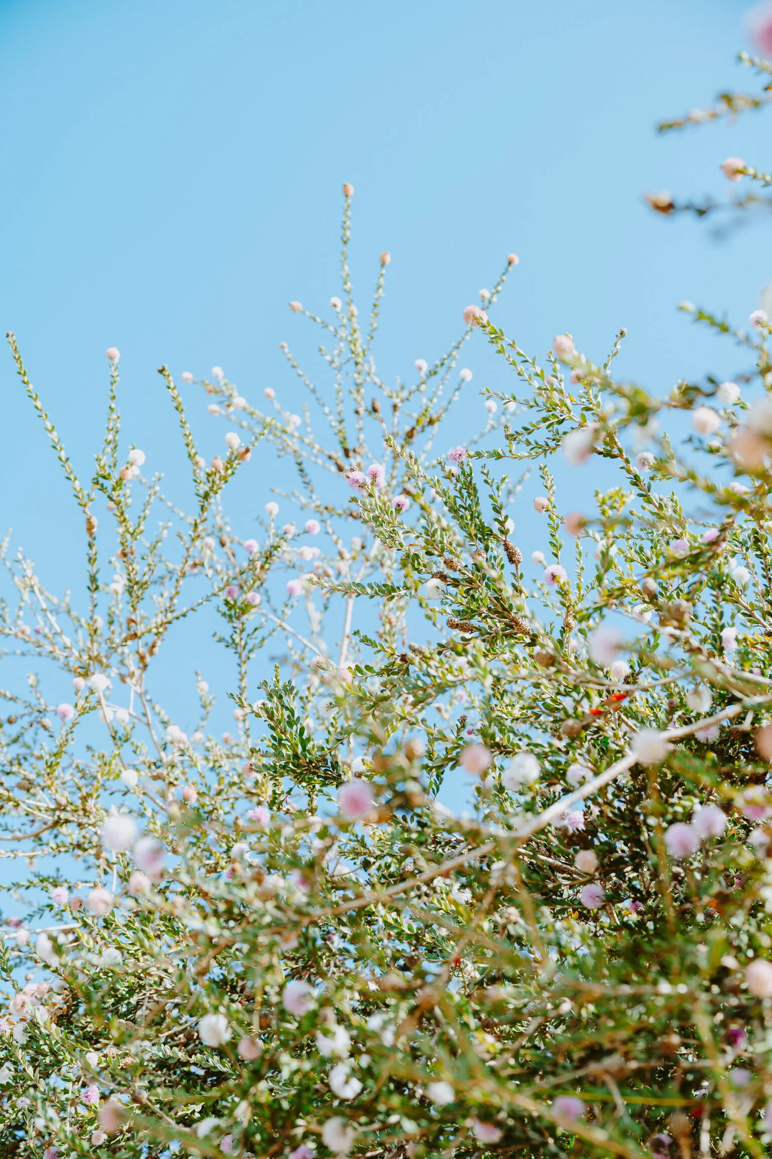 Pregnancy: My Experience