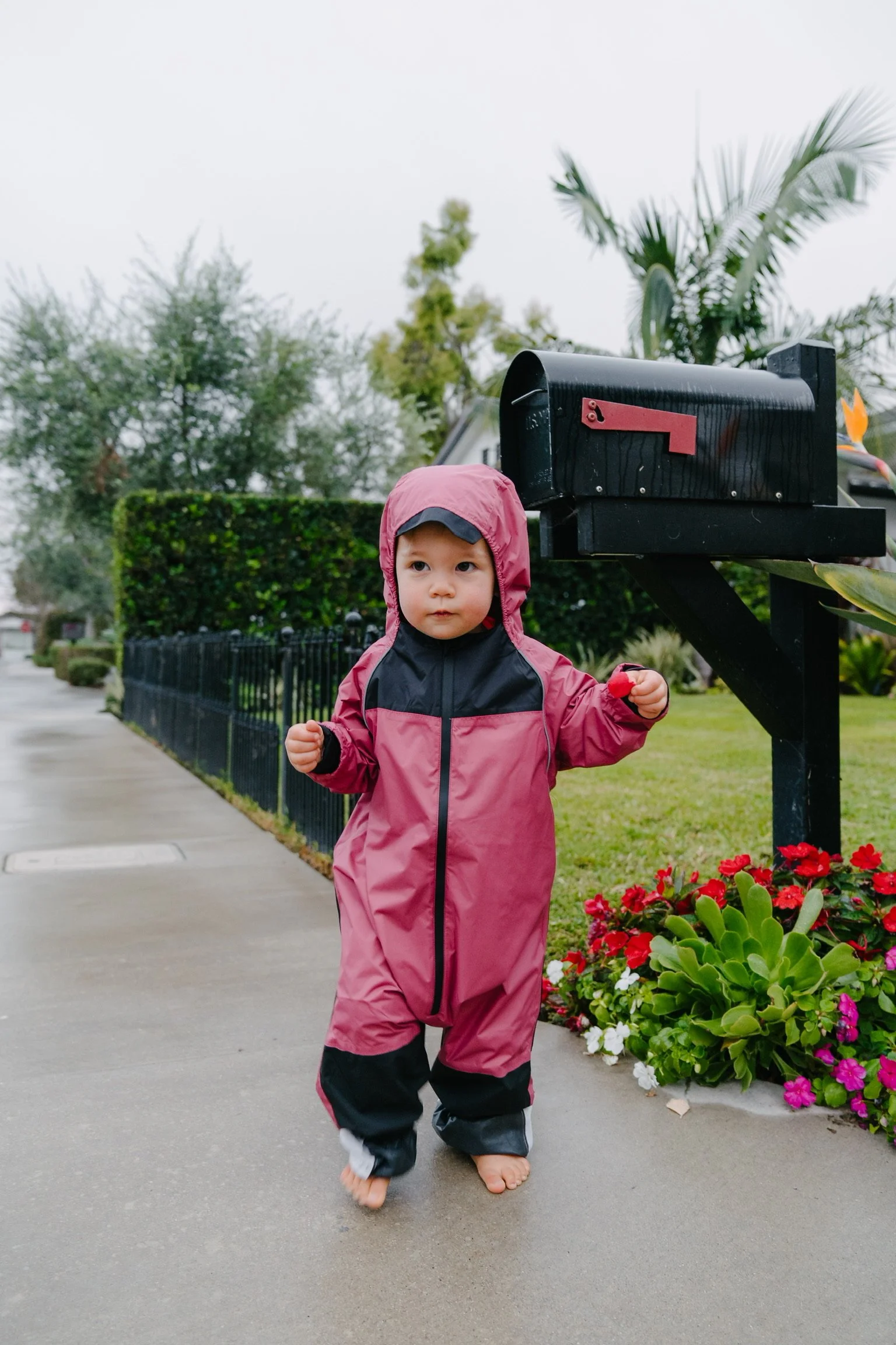 Life Lately: November