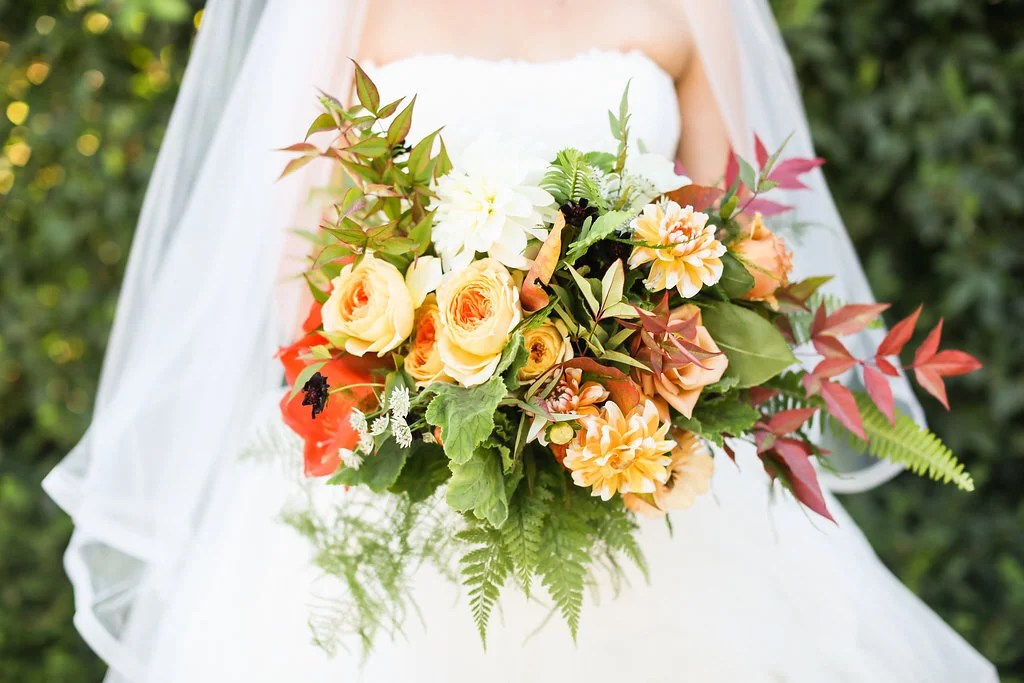  Image by Max and Friends. https://maxandfriends.com 