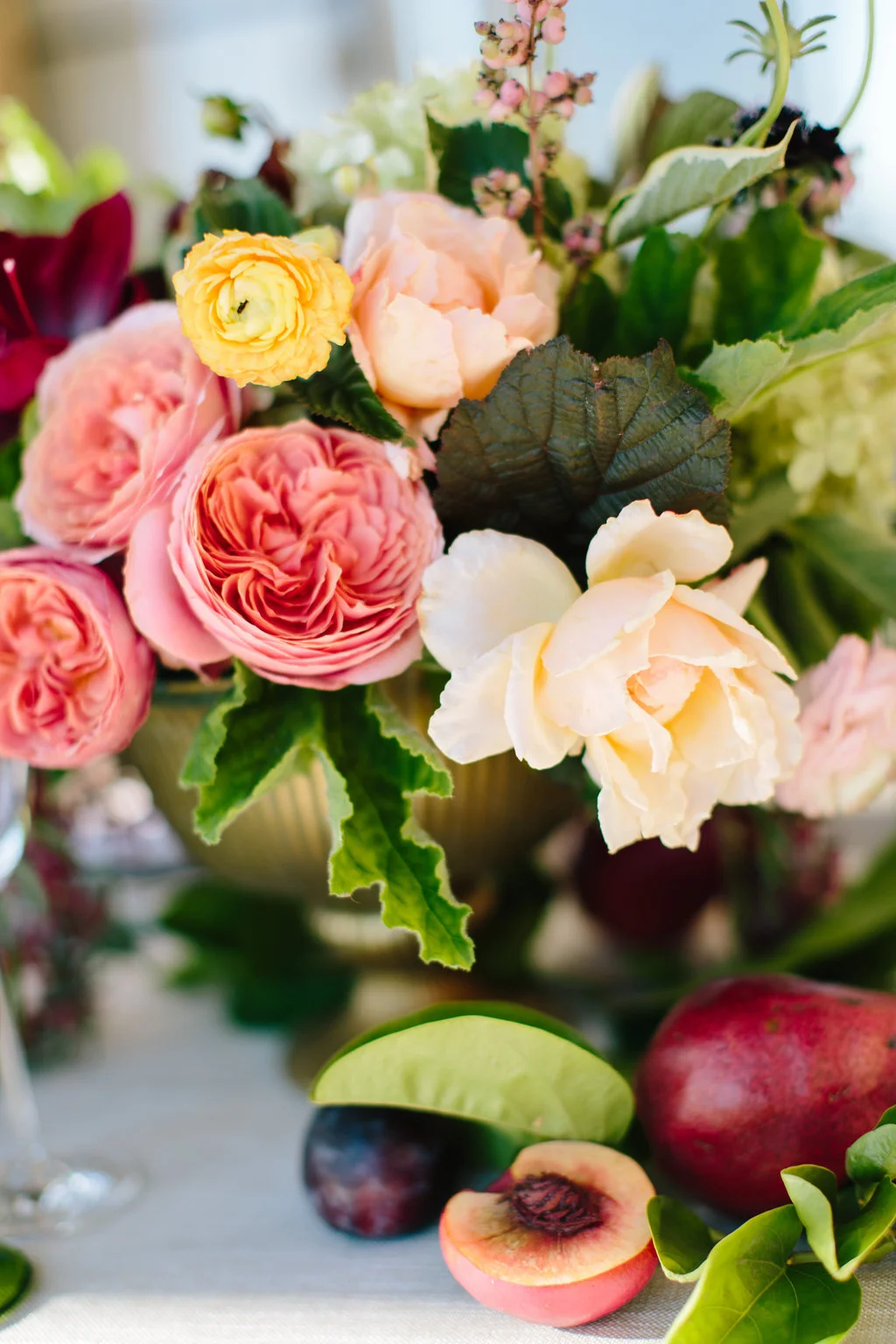  Image by Annie McElwain. https://anniemcelwain.com 