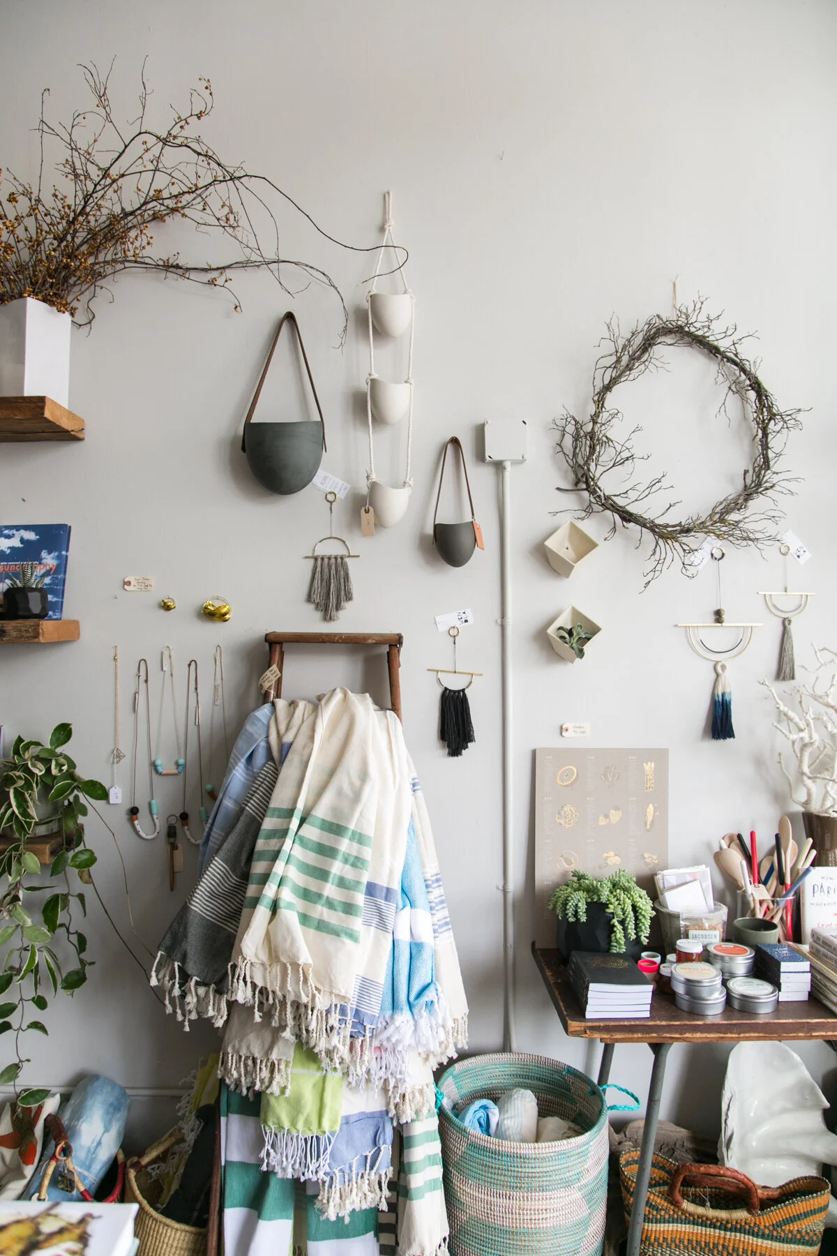  Image by Ashley Kelemen. https://www.etincelle.studio 