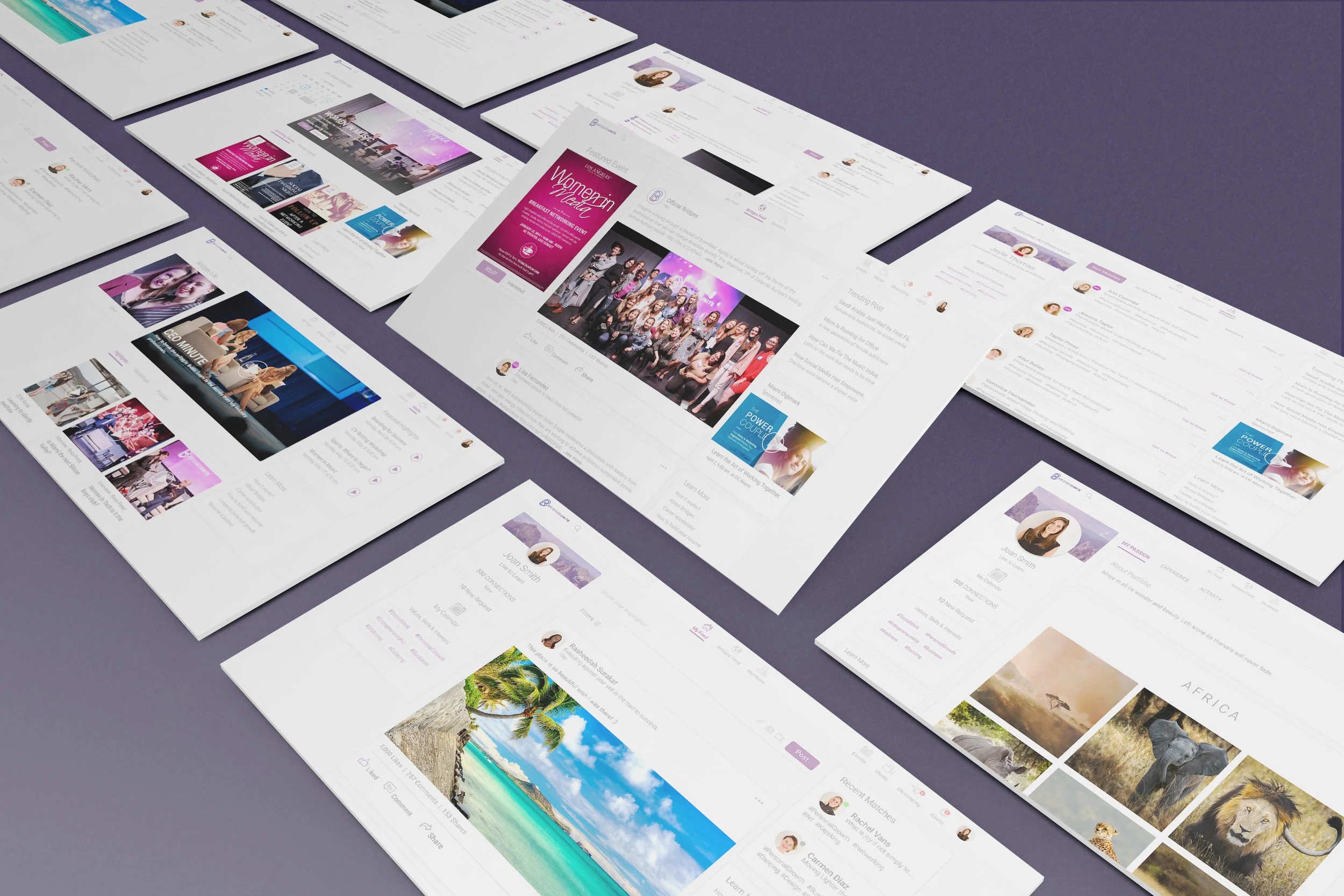 Bridges Mock up Purple.jpg