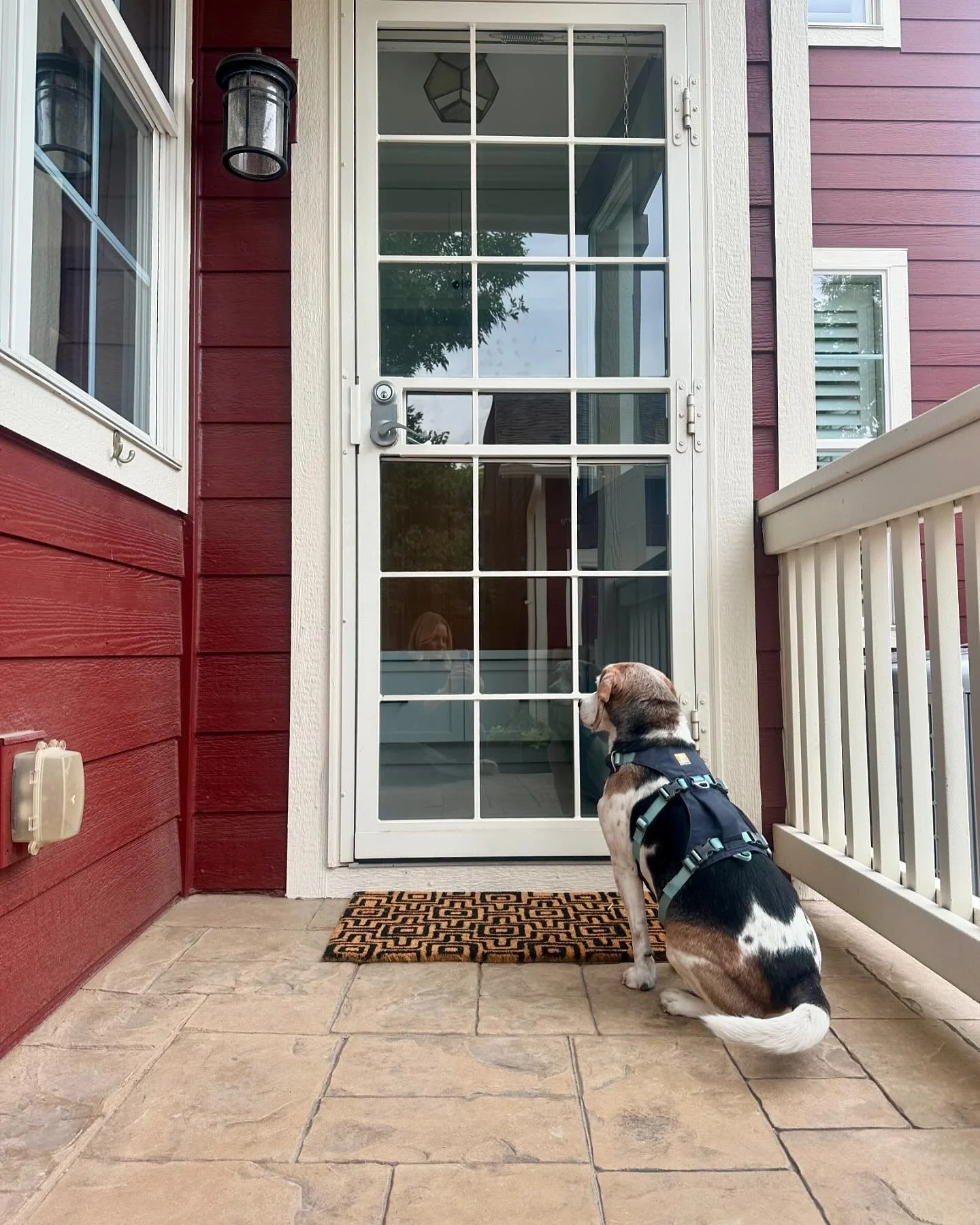 Murphy and his parents got a new home today! Such a beautiful home, amazing couple, and adorable hound ❤️❤️❤️
.
.
.
@westandmaincolorado @westandmainhomes #westandmain #westandmaincolorado #murphyshome #realtorkrug #denverrealestate