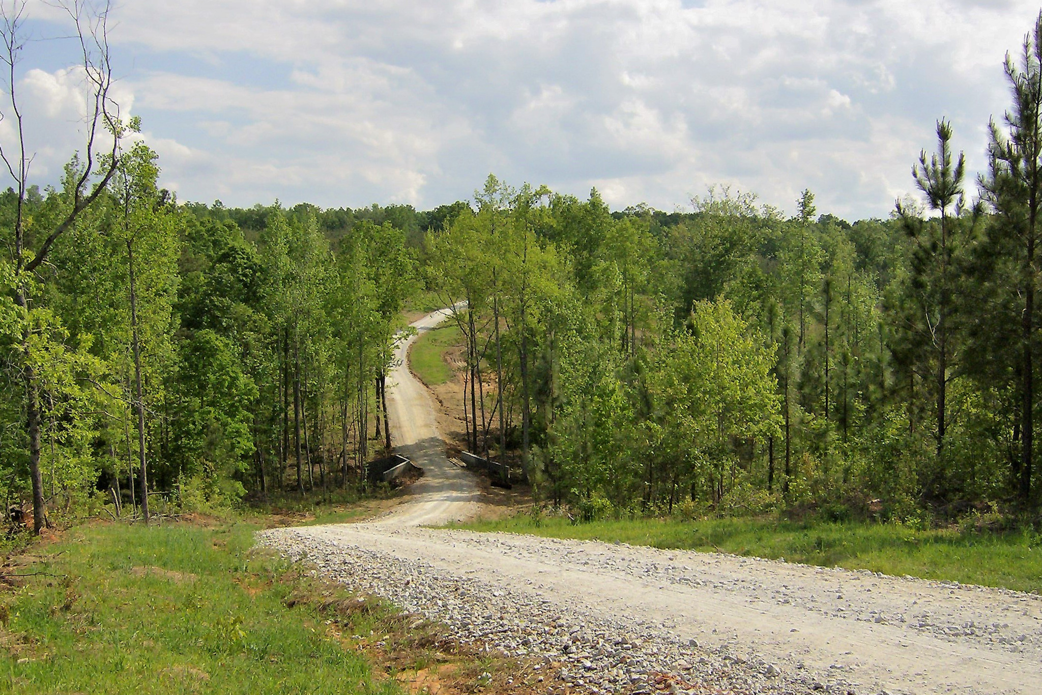 One of the Roads on the Property.jpg