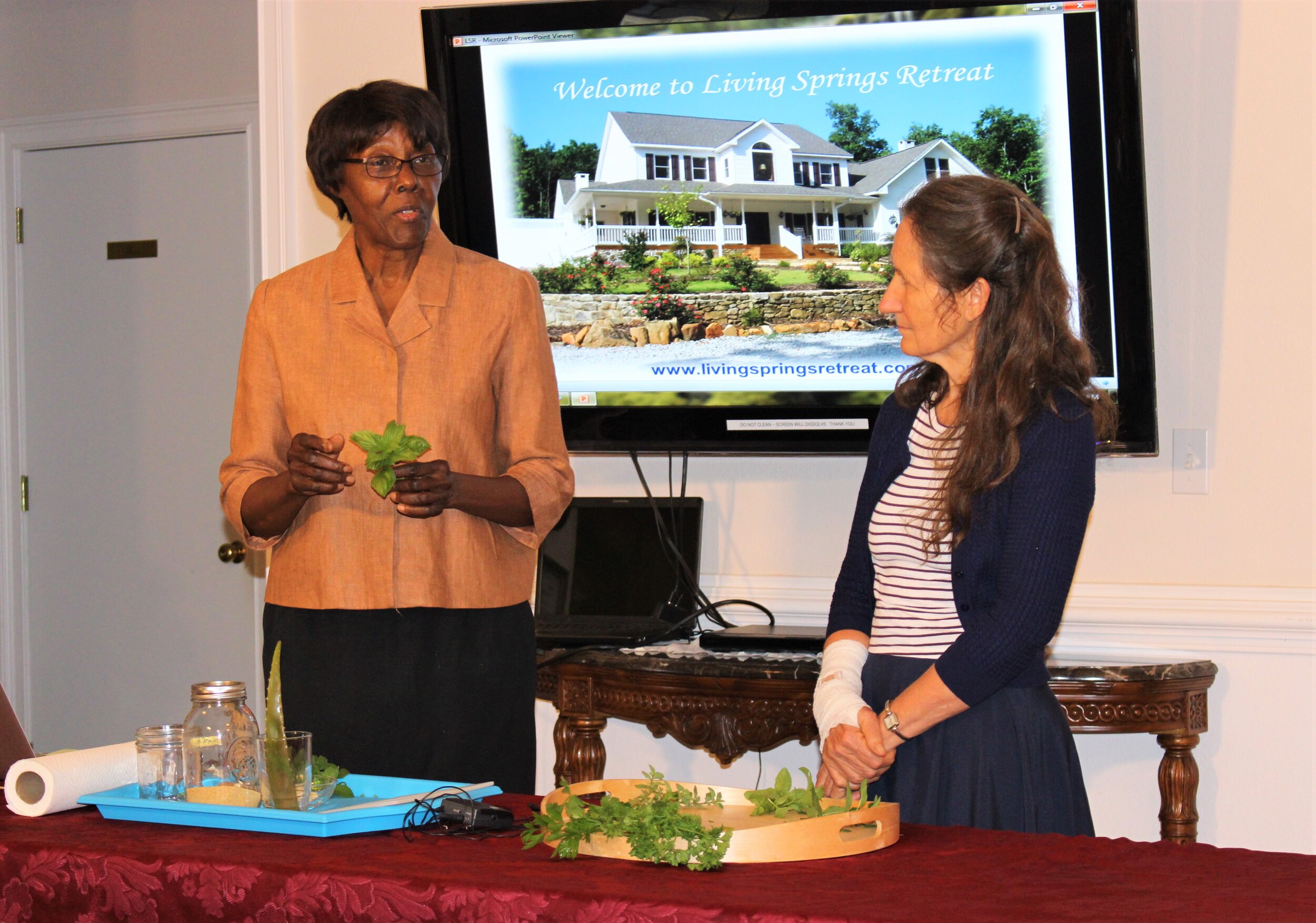 Detox Wellness Programs — Living Springs Retreat