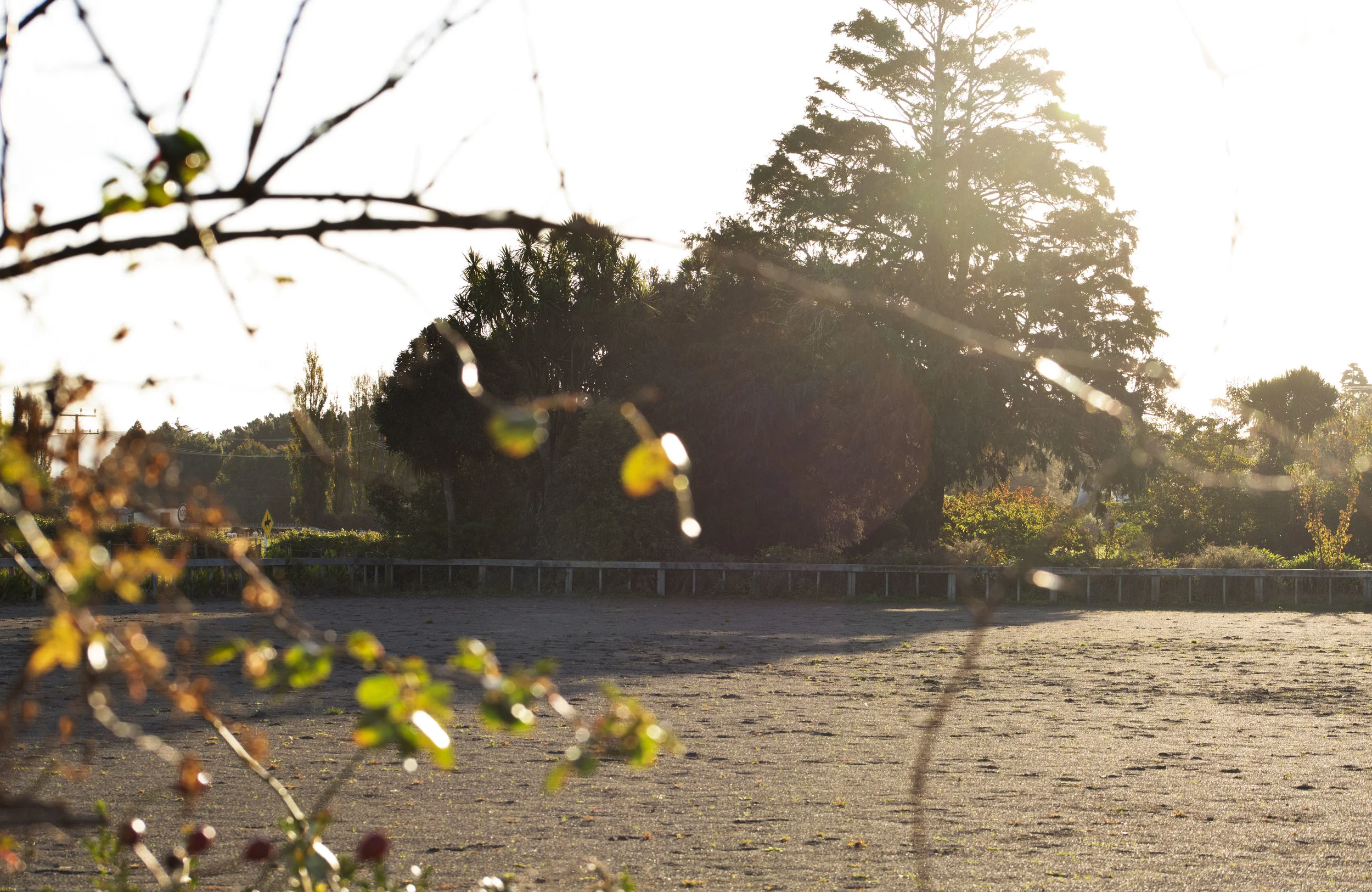 Equestrian Arena