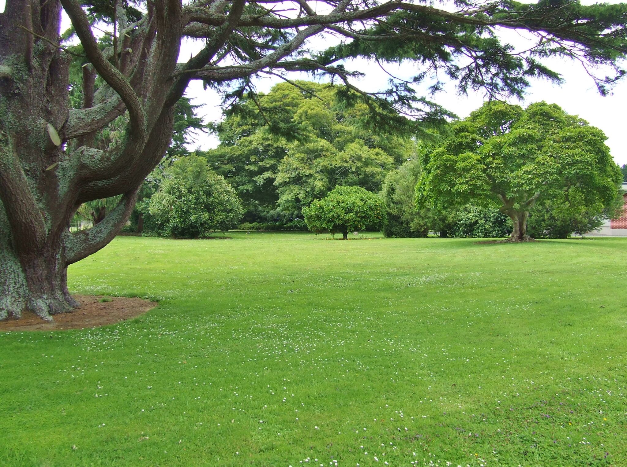 Landscaped gardens