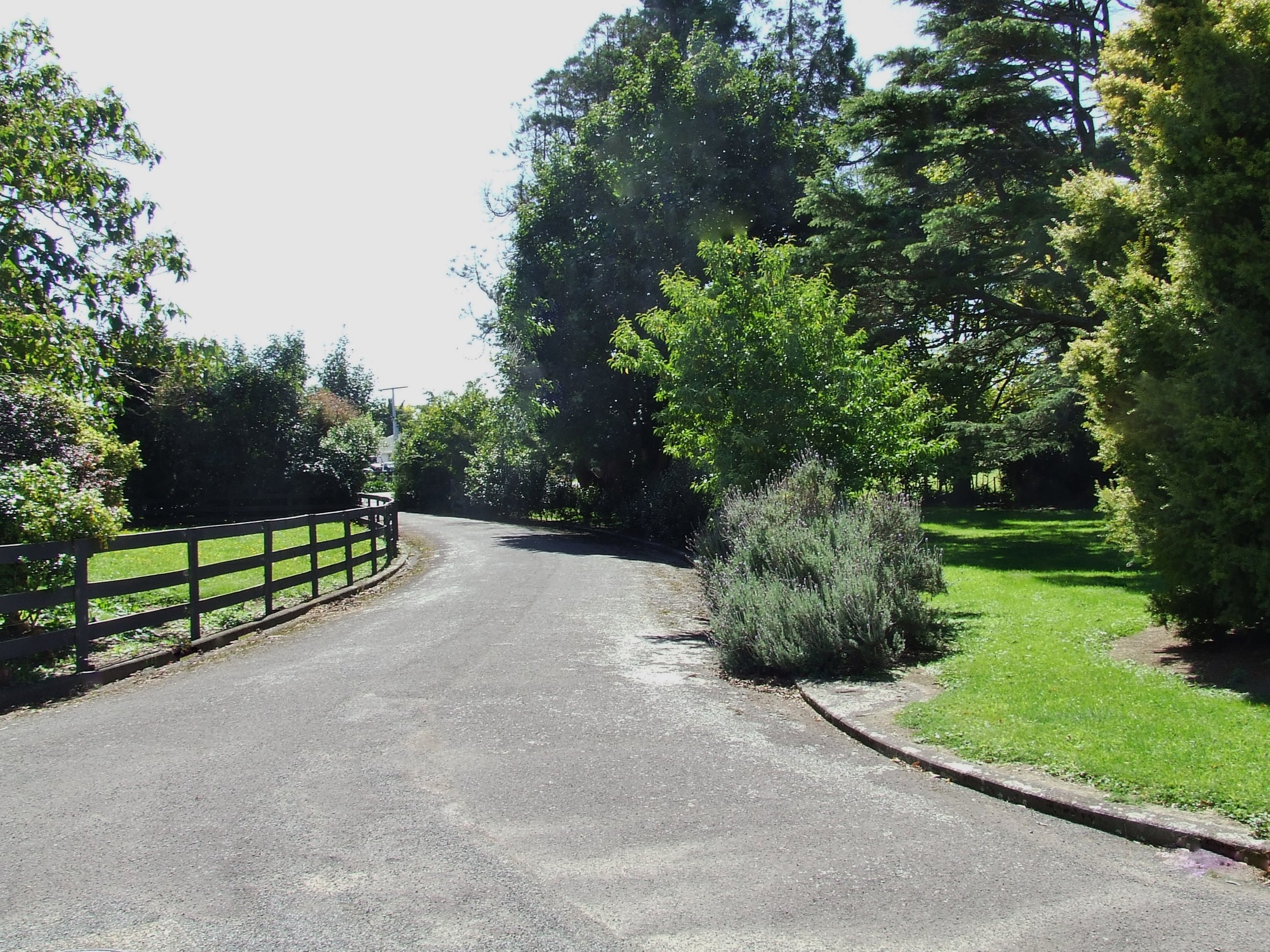 Front driveway