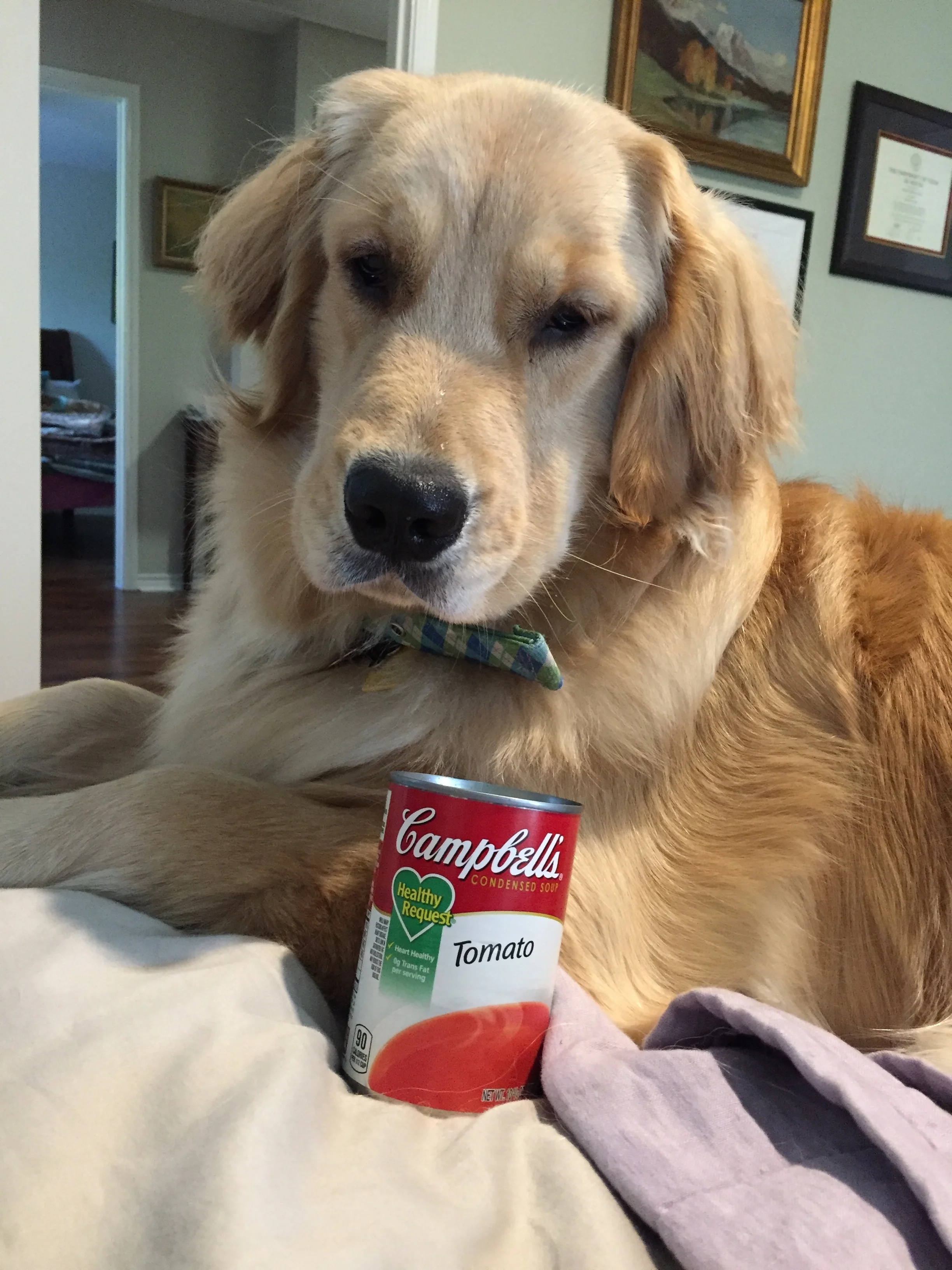 Is there a (good) doctor in the house?