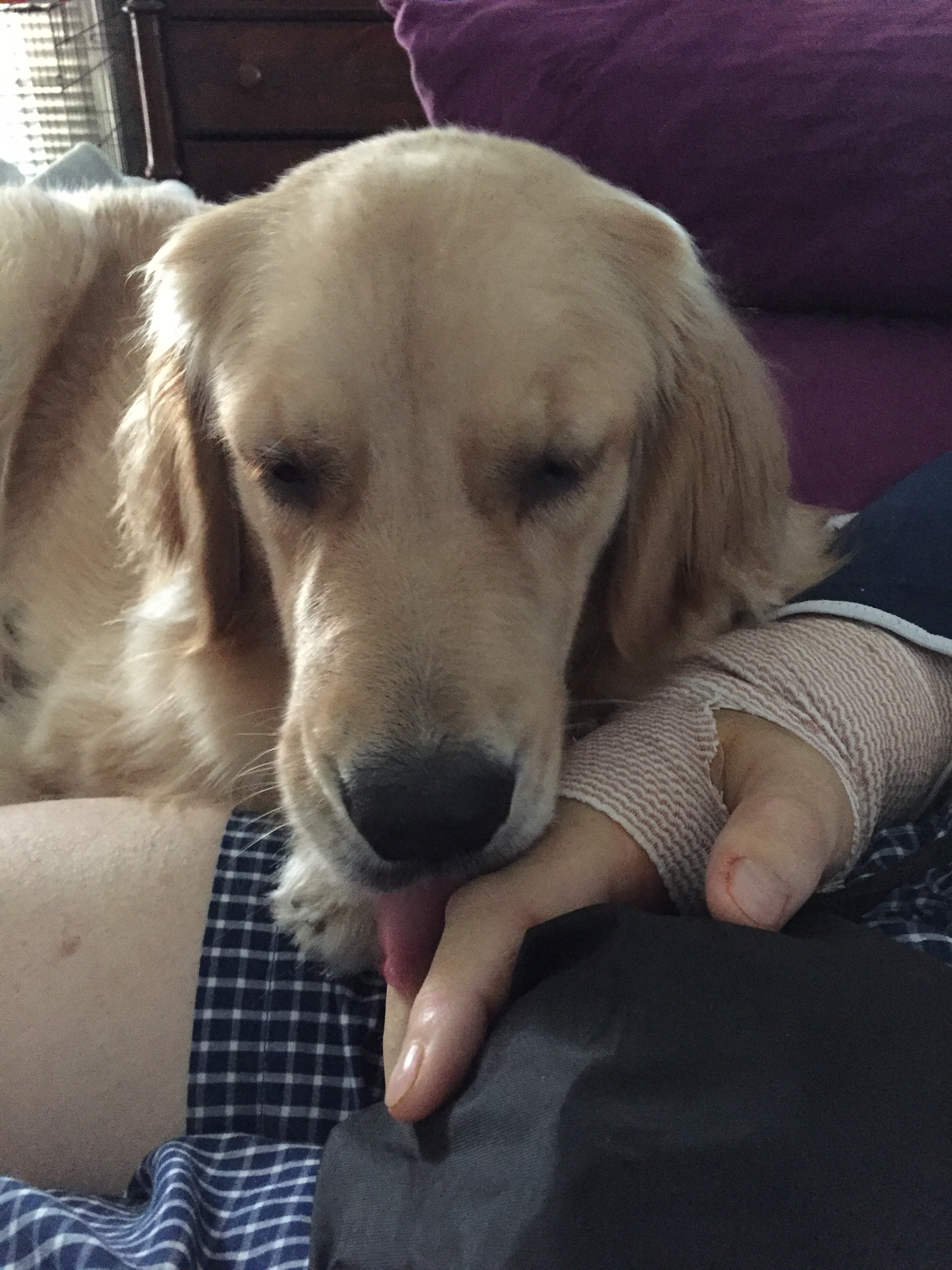 The things we do for love