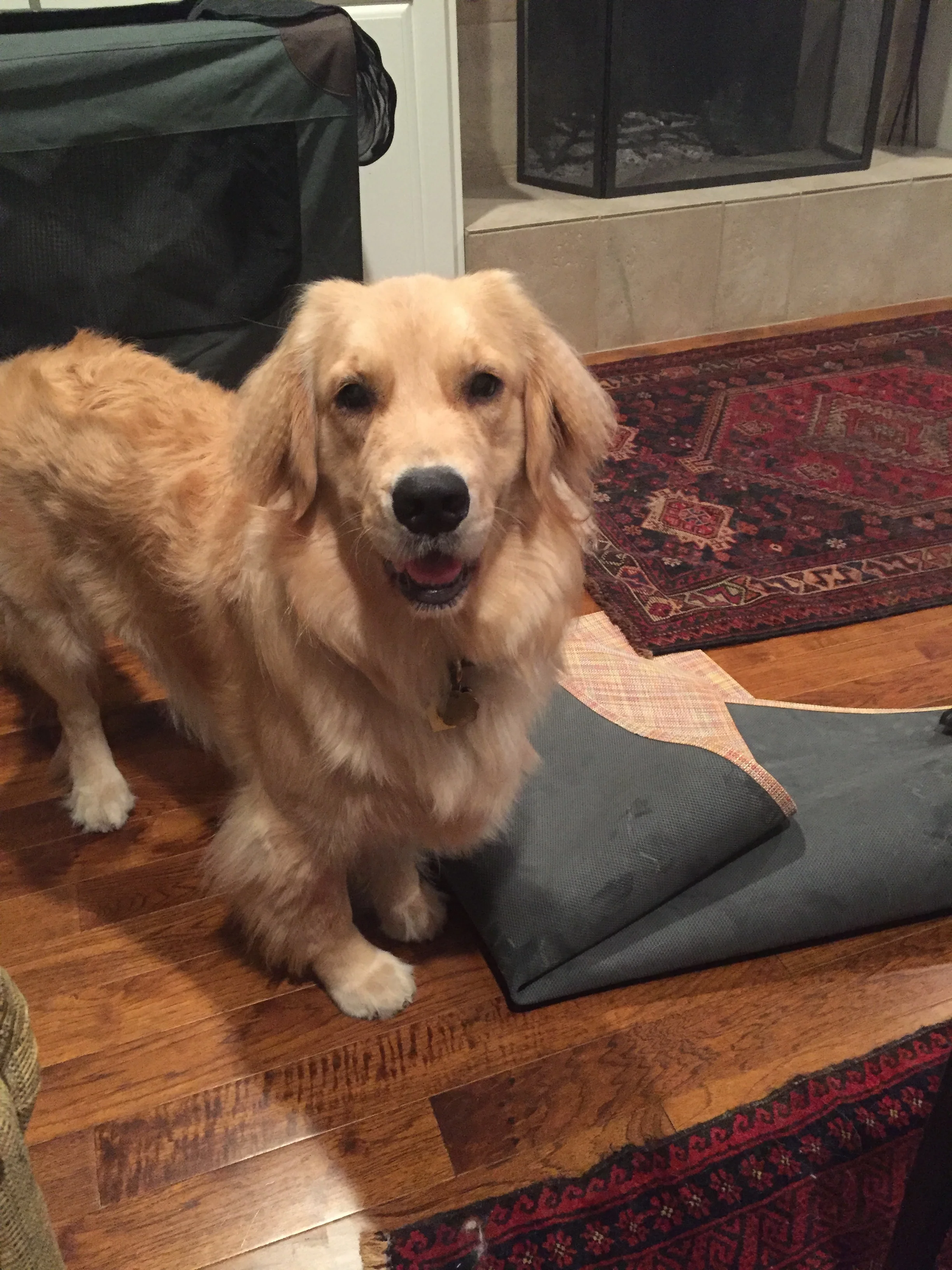 What I'm complaining about this morning