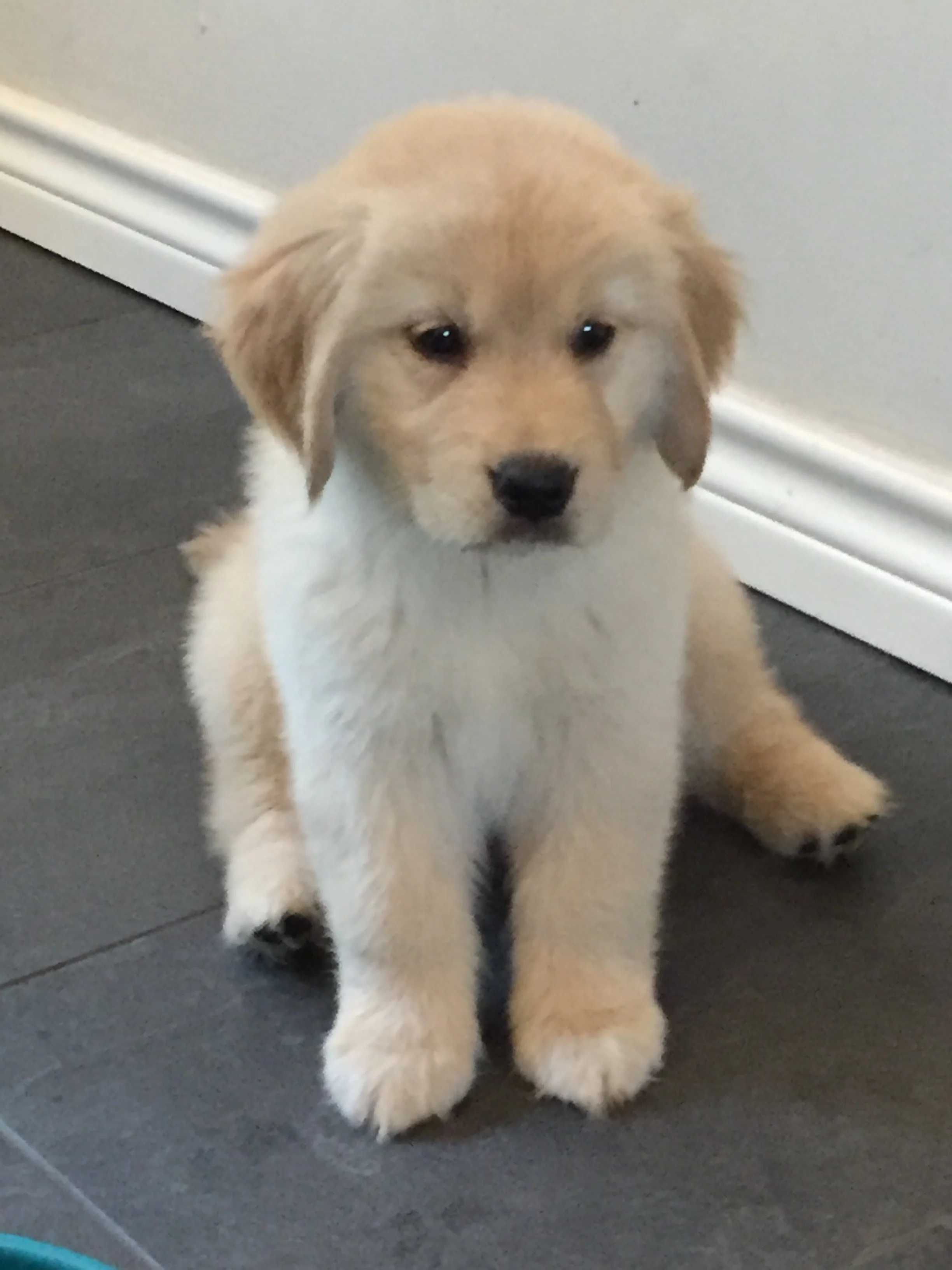 Marvelous Miss Millie