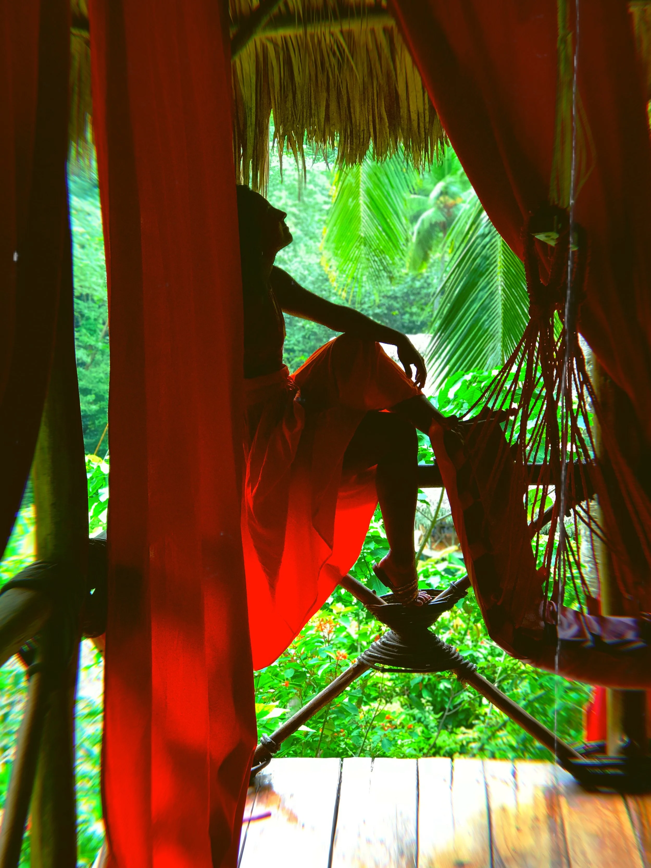 ¿Hospedarte en una casa en el árbol? Sí, en República Dominicana