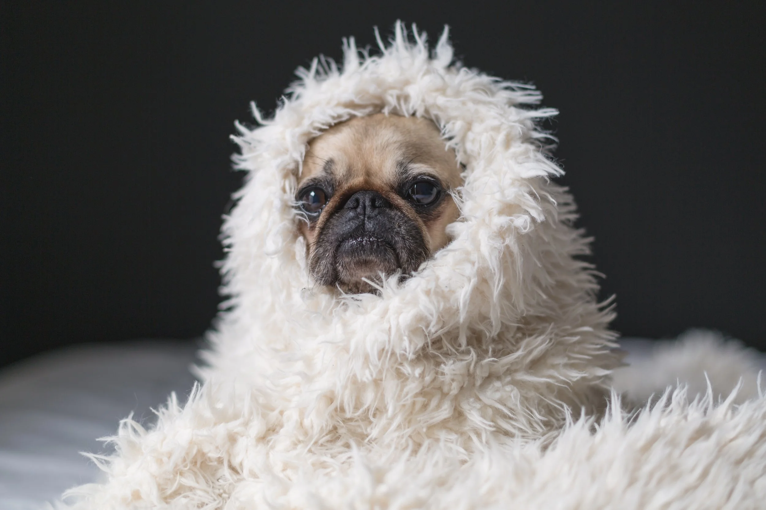 Everyone is prone to feeling more sad, sluggish, and tired during the long winter months.