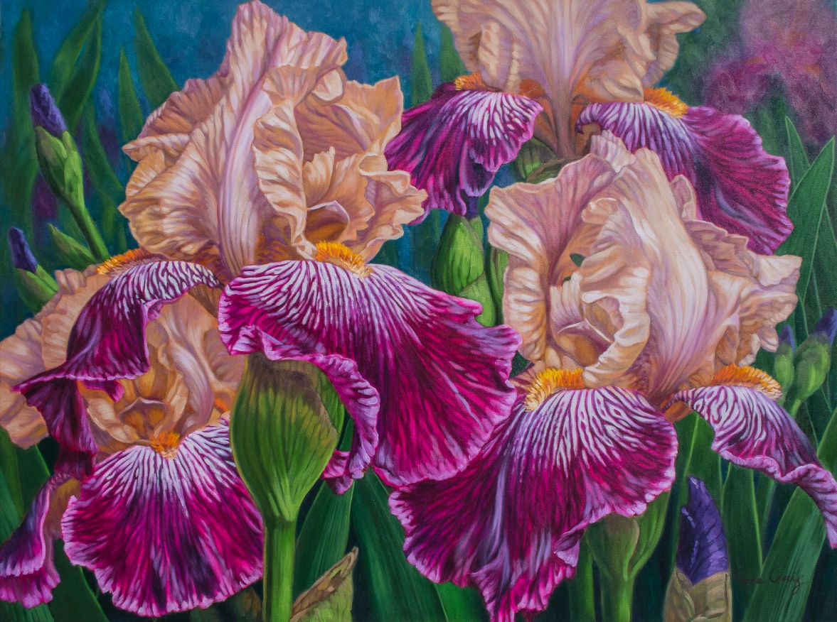 Iris Garden 2