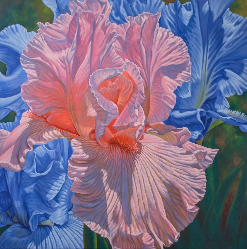 Floralscape 1: Pink and Blue Irises
